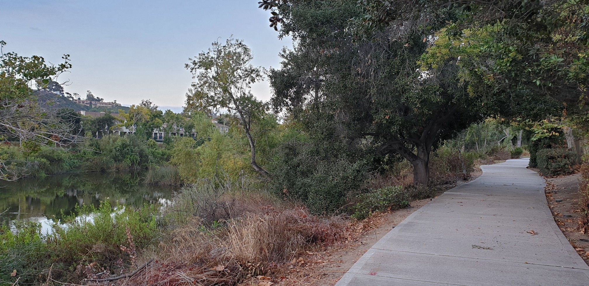 Paved path next to a calm lake, surrounded by green trees under soft light. - San Diego River Trail Loop