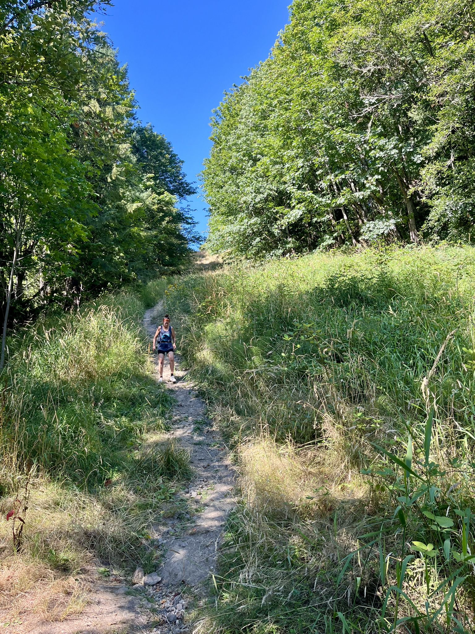 A person walks up a steep, grassy path under a clear blue sky. - Scenic Loop – Lord Hill Regional Park