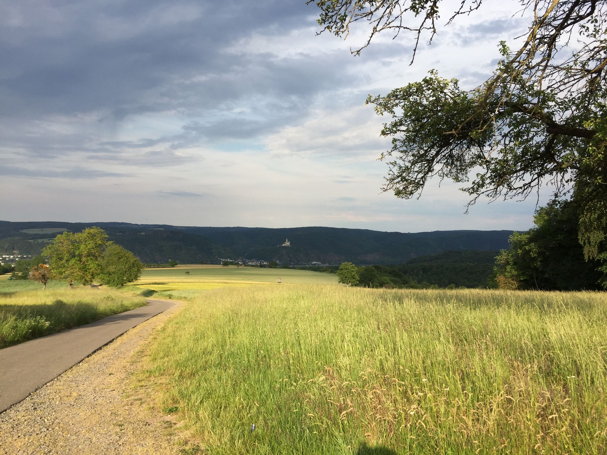 Toller Blick auf die Marksburg