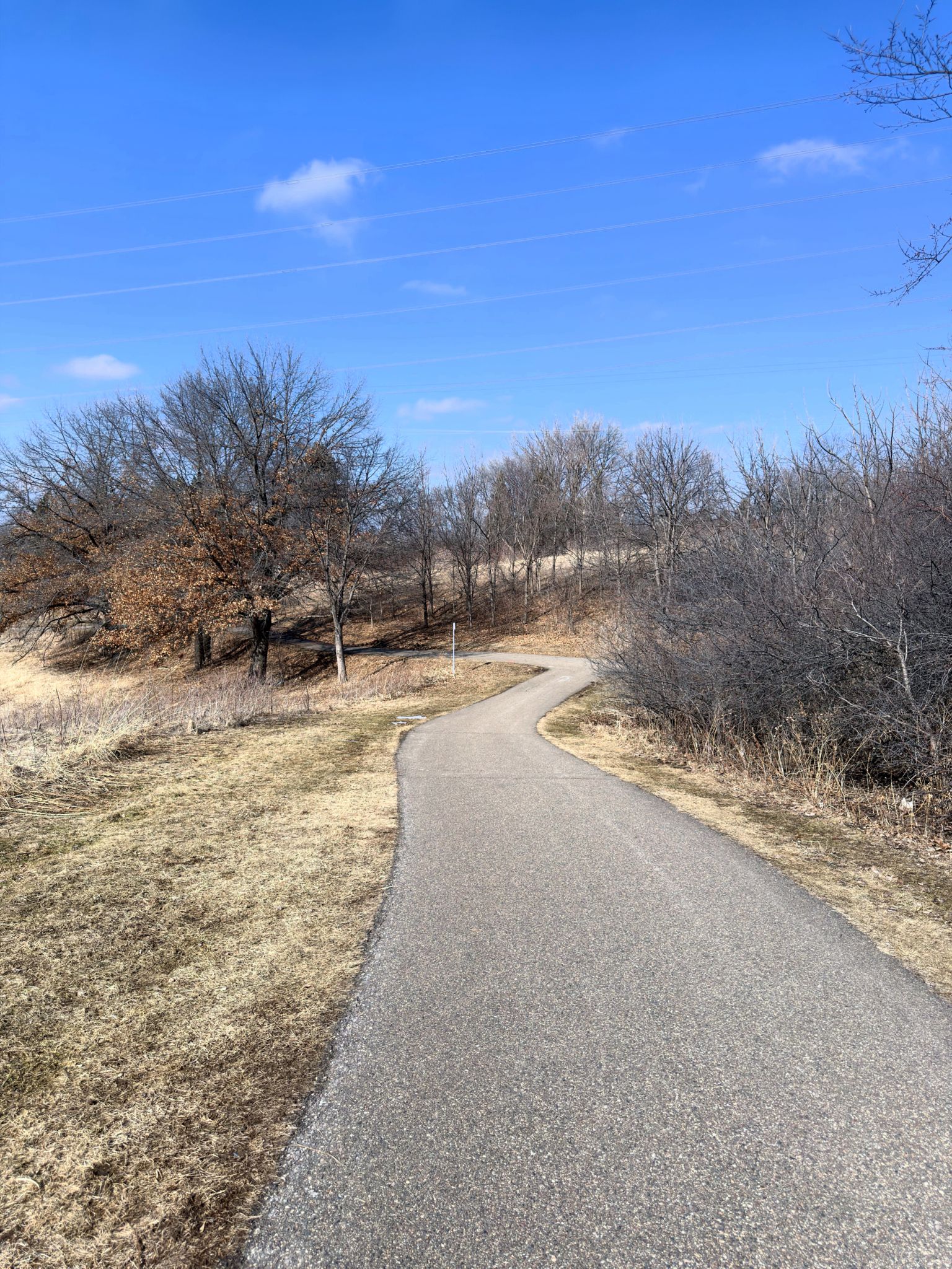 Trail View