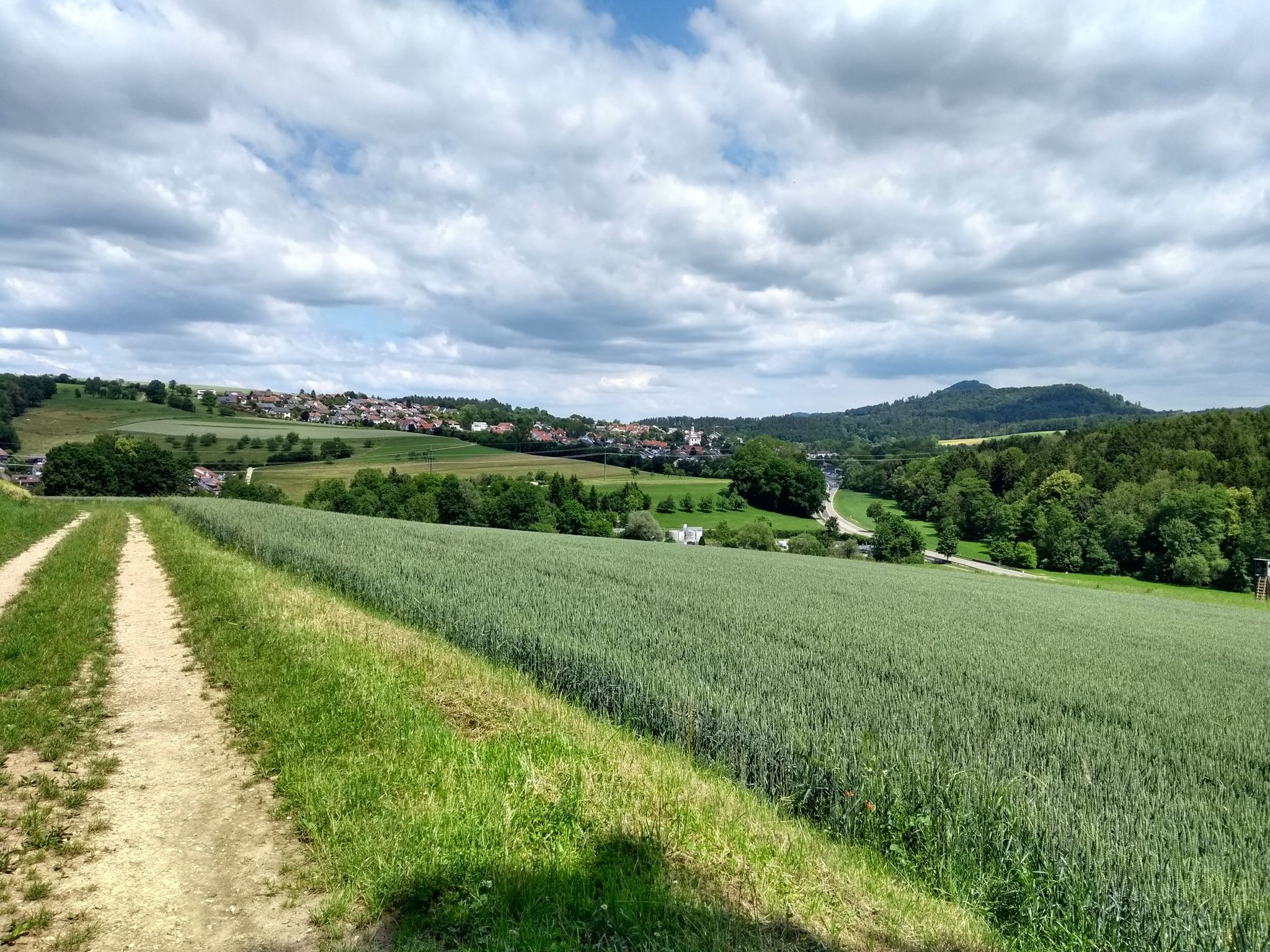 Blick auf Birenbach und Hohenstaufen