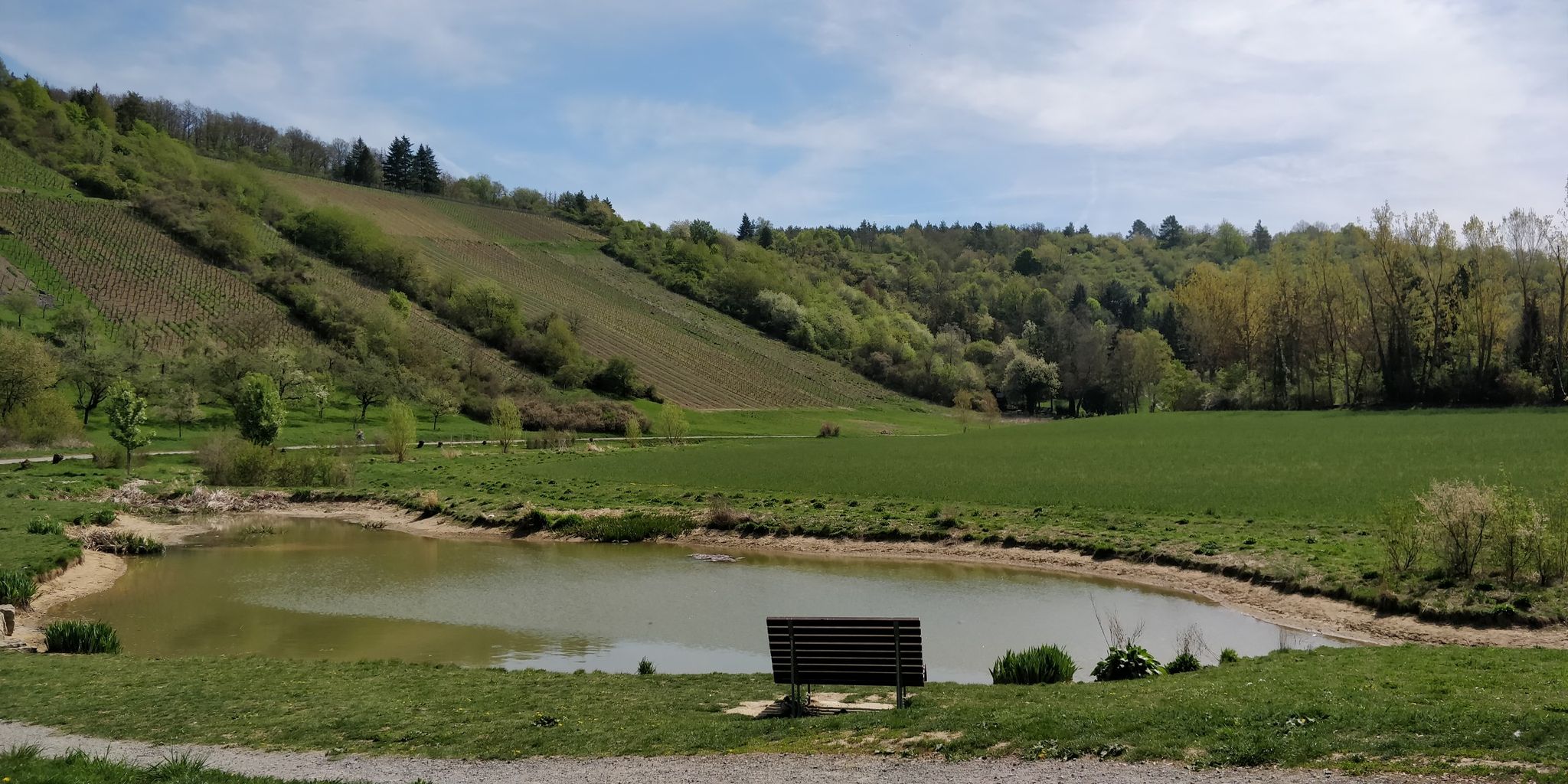 Gerbrunner Weiher 2