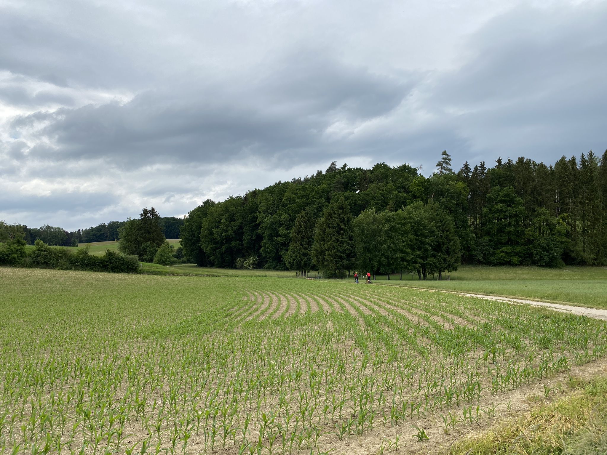 schönes Quellental bei Niedererlbach
