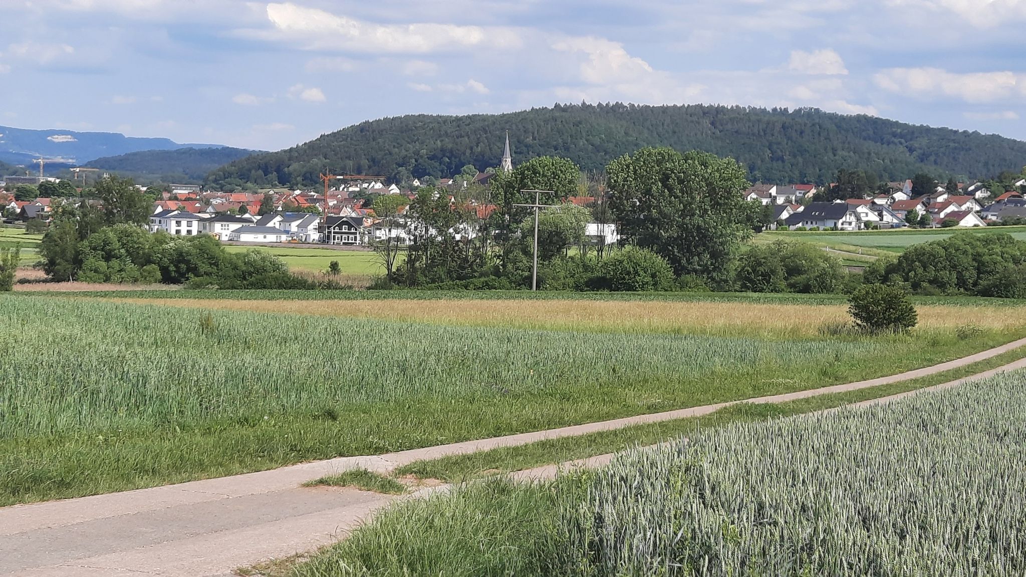 Rangendingen