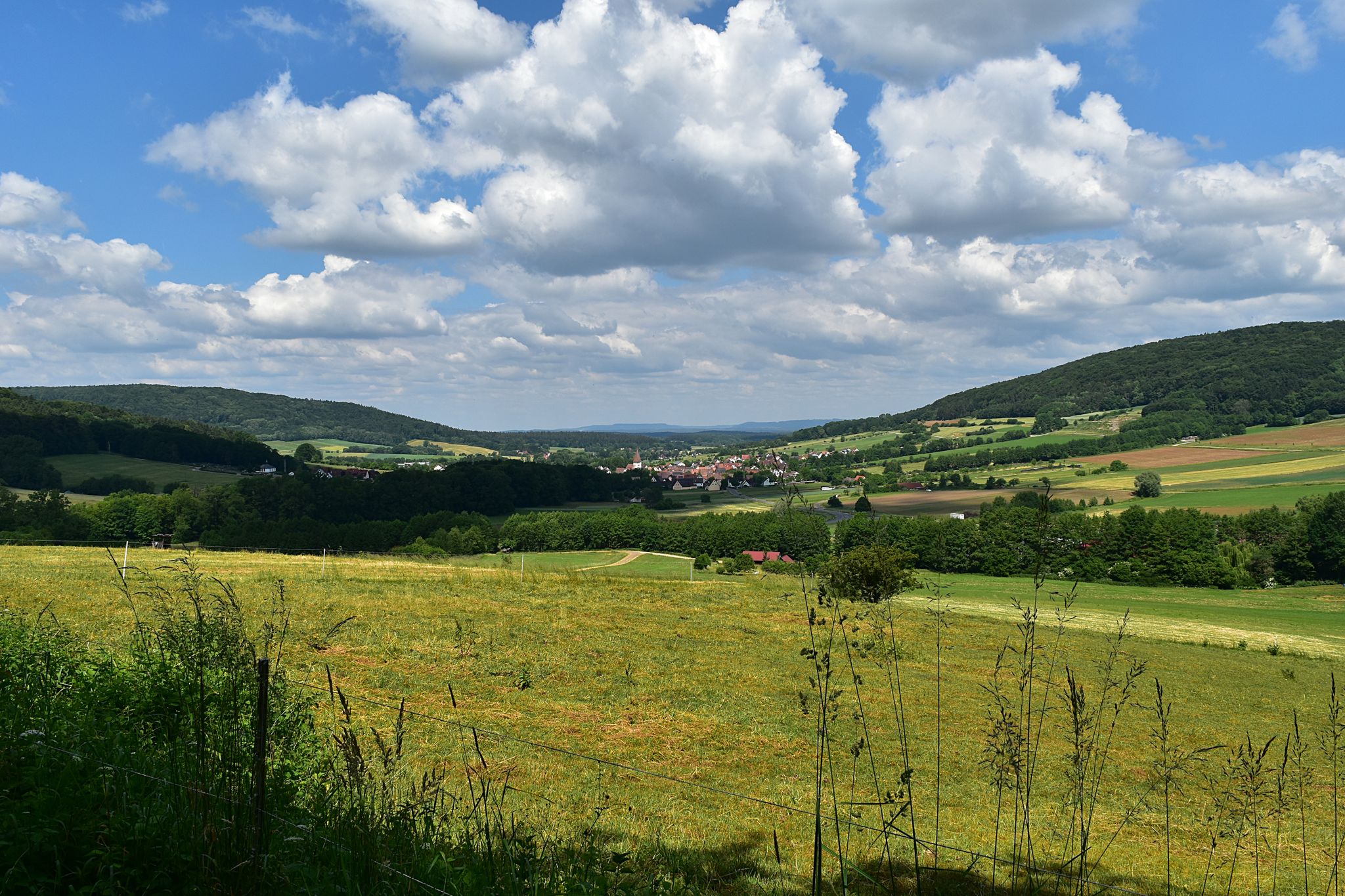 Blick ins Hammerbachtal.
