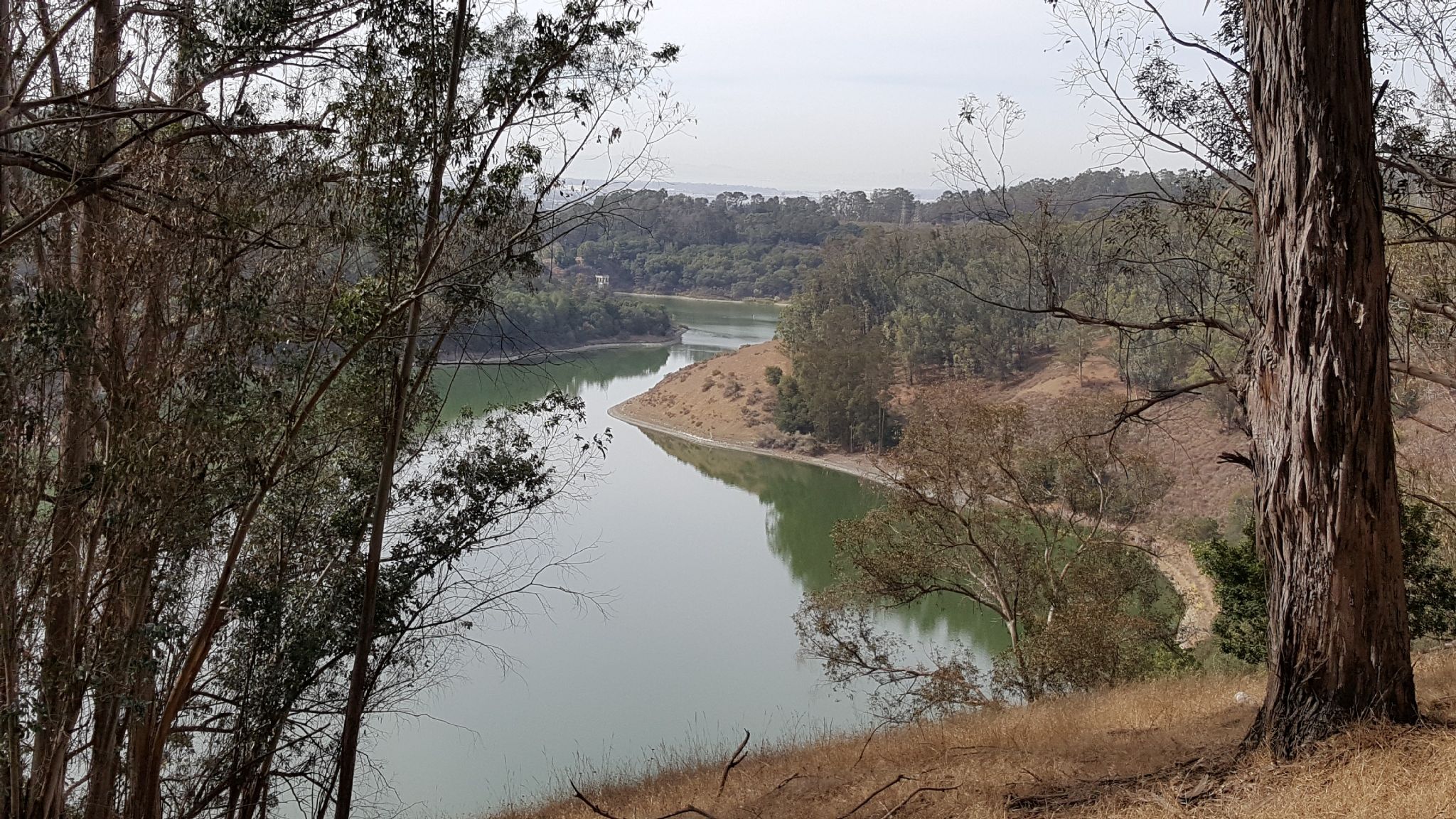 Winding lake seen through trees, with dry hills and a hazy sky. - Brandon, Two Rocks, Columbine, Towhee Trails