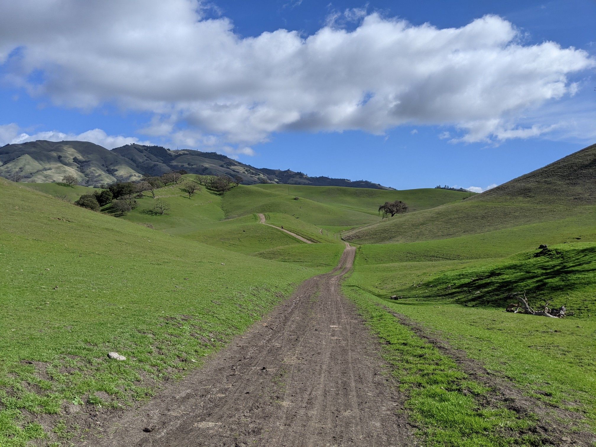 Dirt path through vibrant green rolling hills under a cloudy blue sky. - Diablo Foothills Regional Park loop