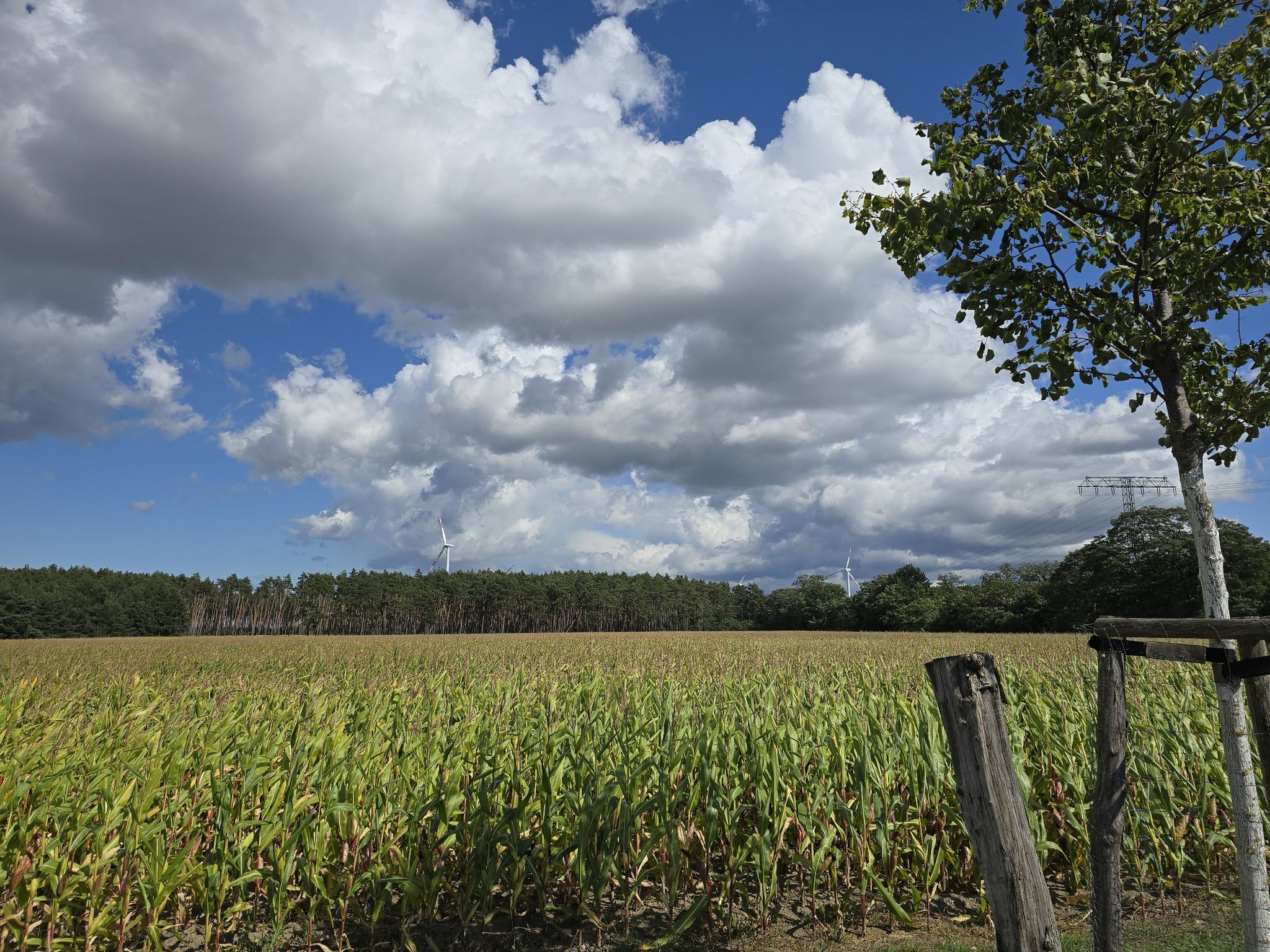tolle Wolken und Himmel bei geschätzt in Böen Windstärke 7...
