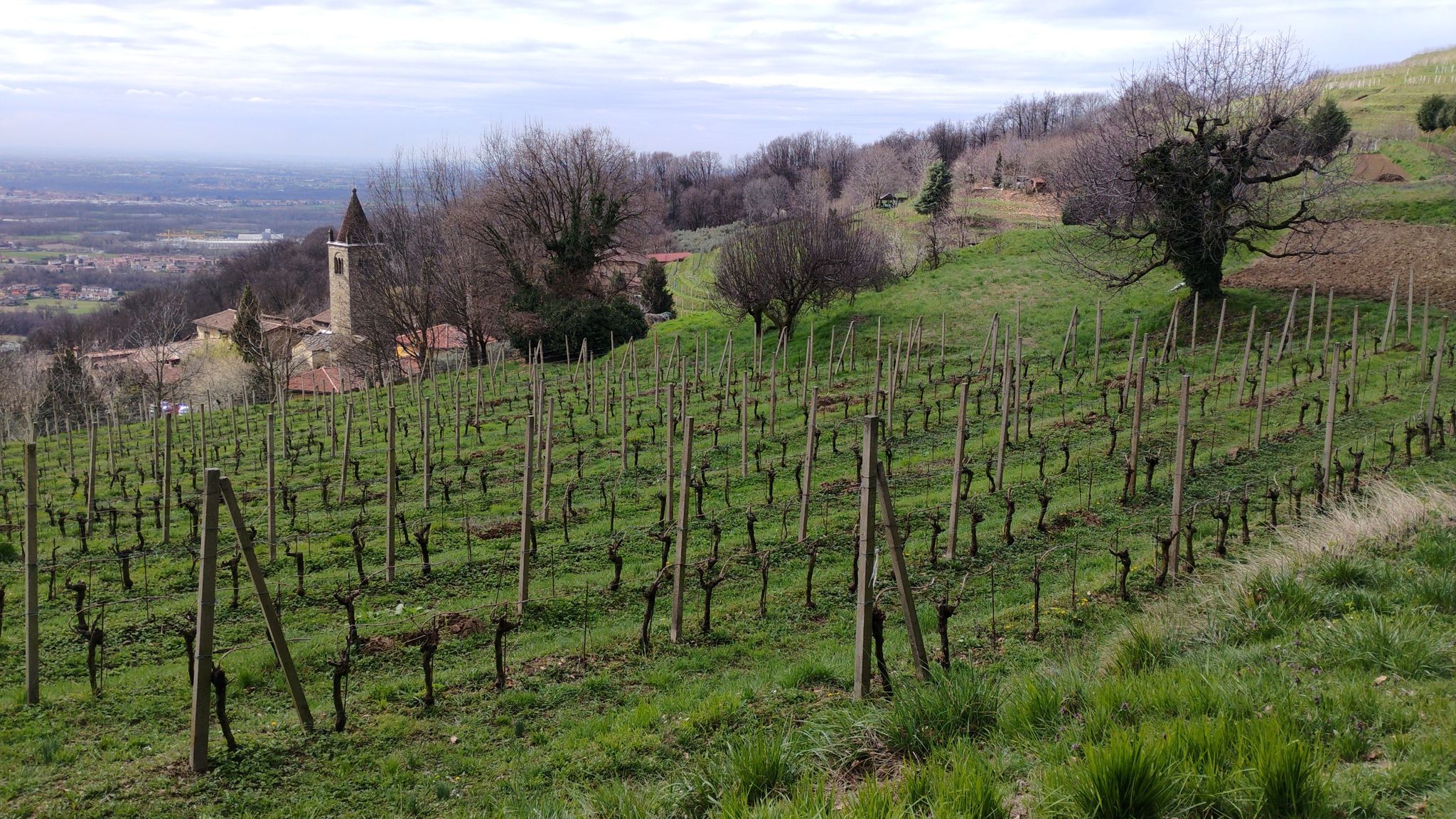 Abbazia di Fontanella