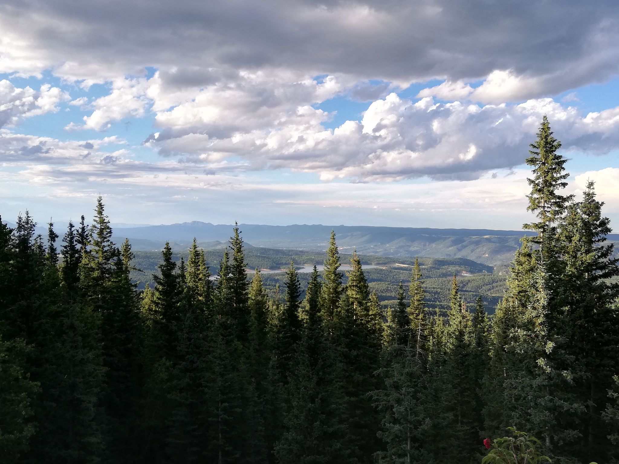 Dense pine forest overlooking a distant valley under cloudy sky. - Crystal Creek Reservoir – Glen Cove loop from Green Mountain Falls