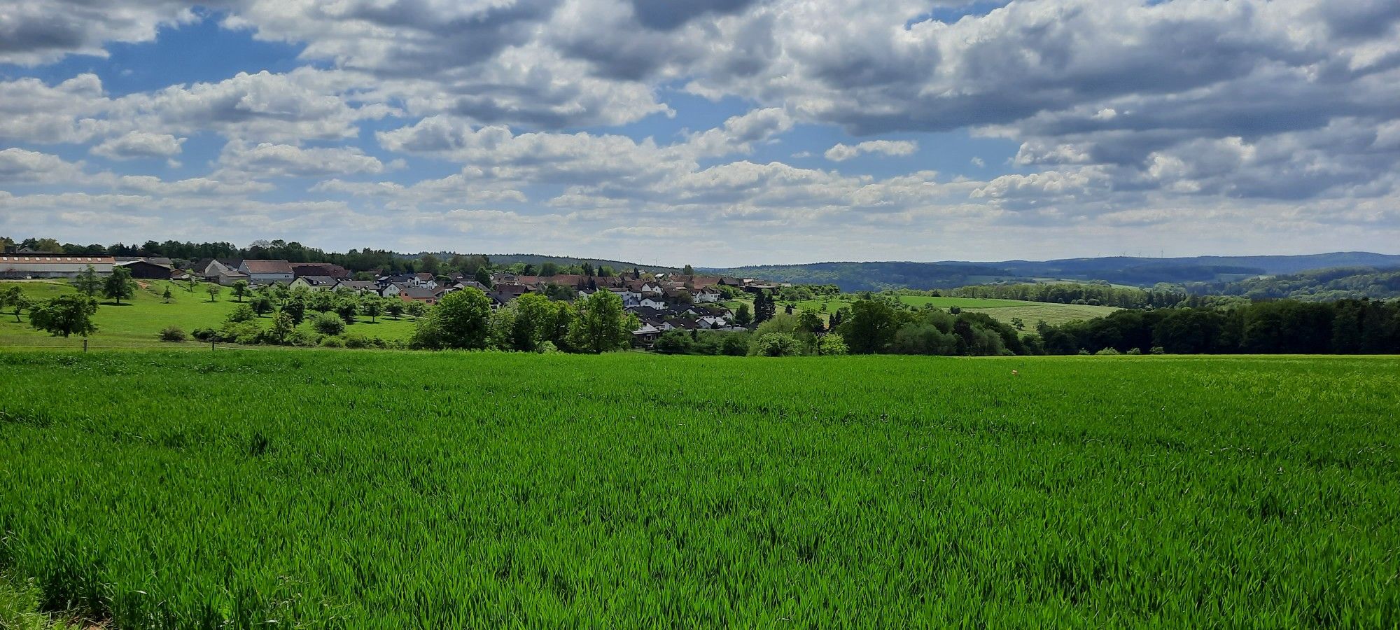 Momartblick