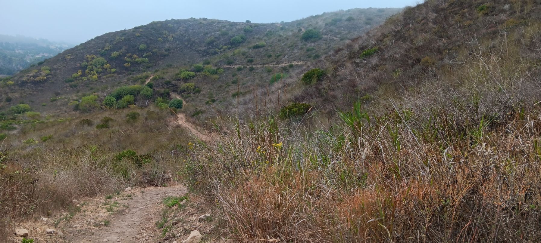 A dirt trail winds through dry, brushy hills under an overcast sky. - Ocean View and Canyon View Trail Loop