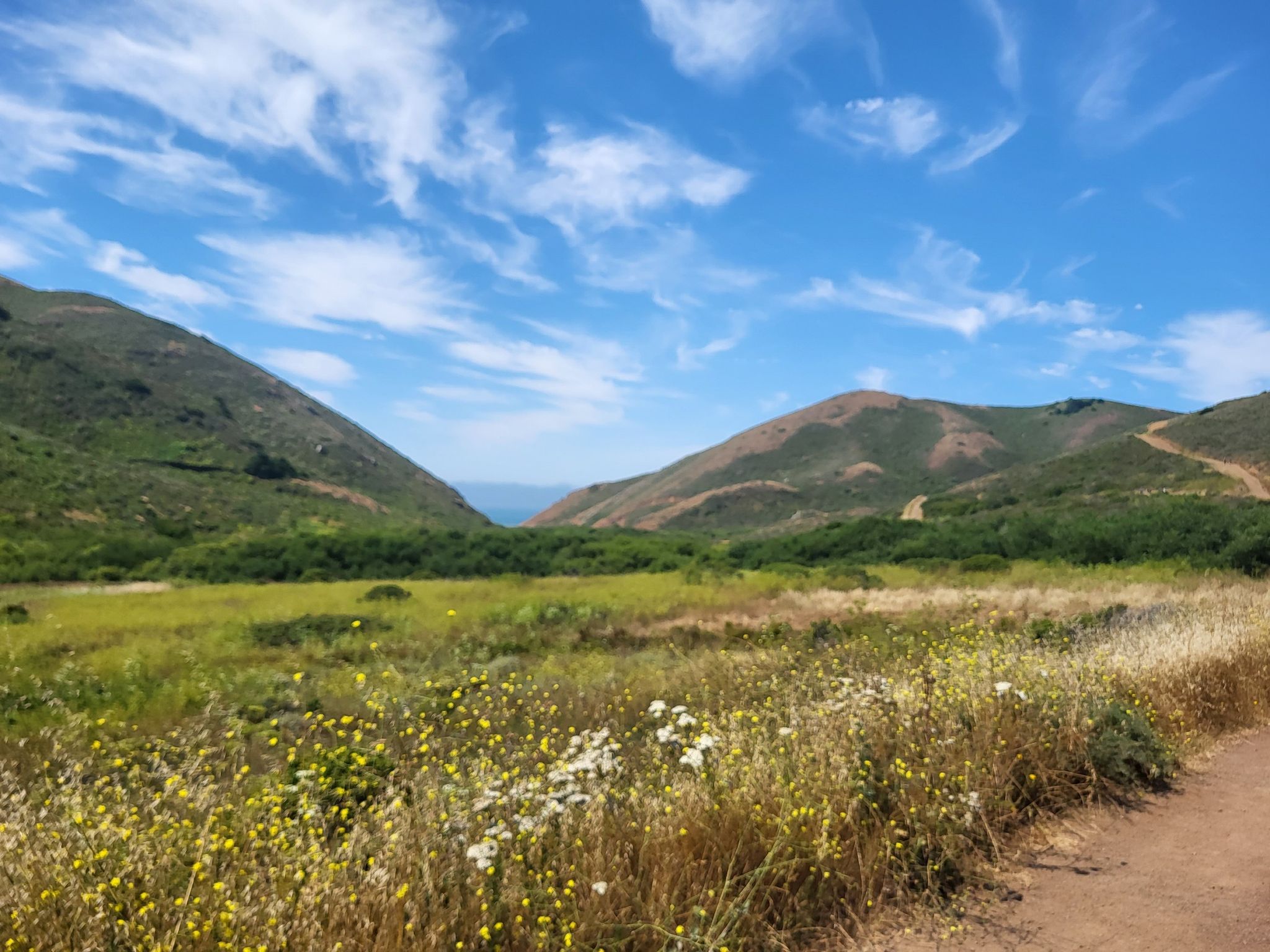 Sunny valley with green hills, wildflowers, and a bright blue sky. - Miwok and Coastal Trail Loop
