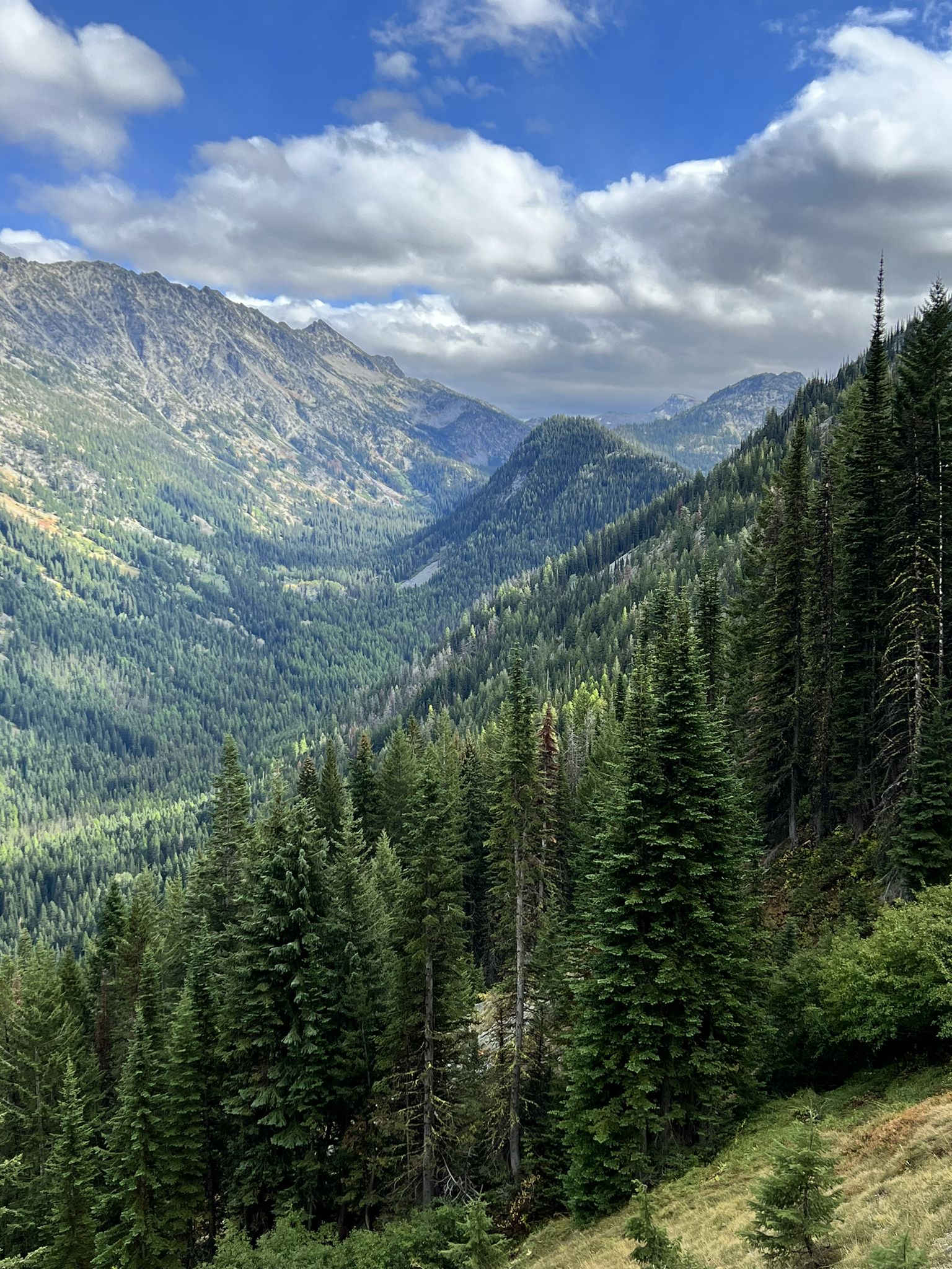 A vast, green mountain valley filled with dense pine forests under clouds. - Maxwell Lake Trail