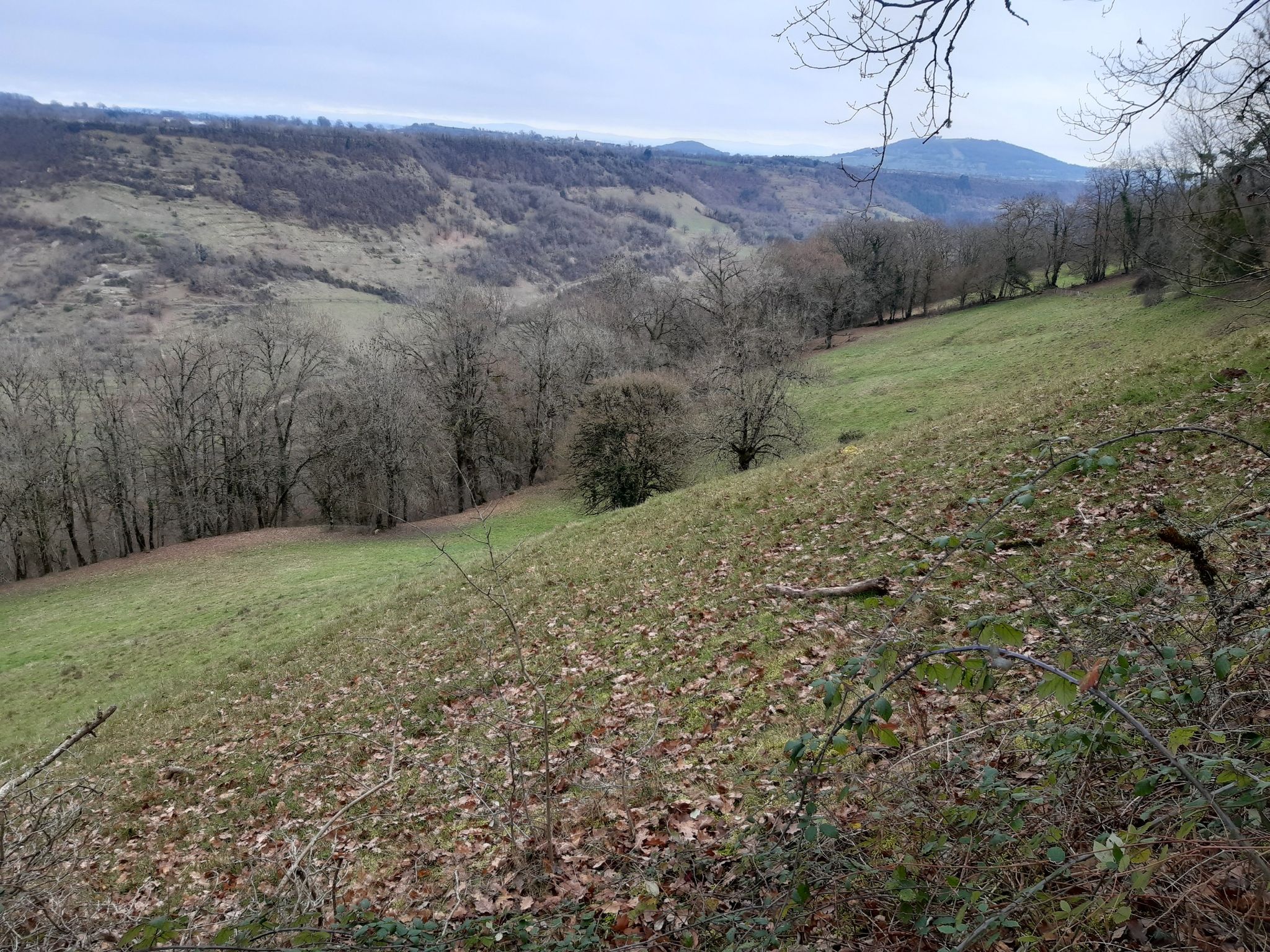 vue sur la vallée entre Rodelle et Maymac
