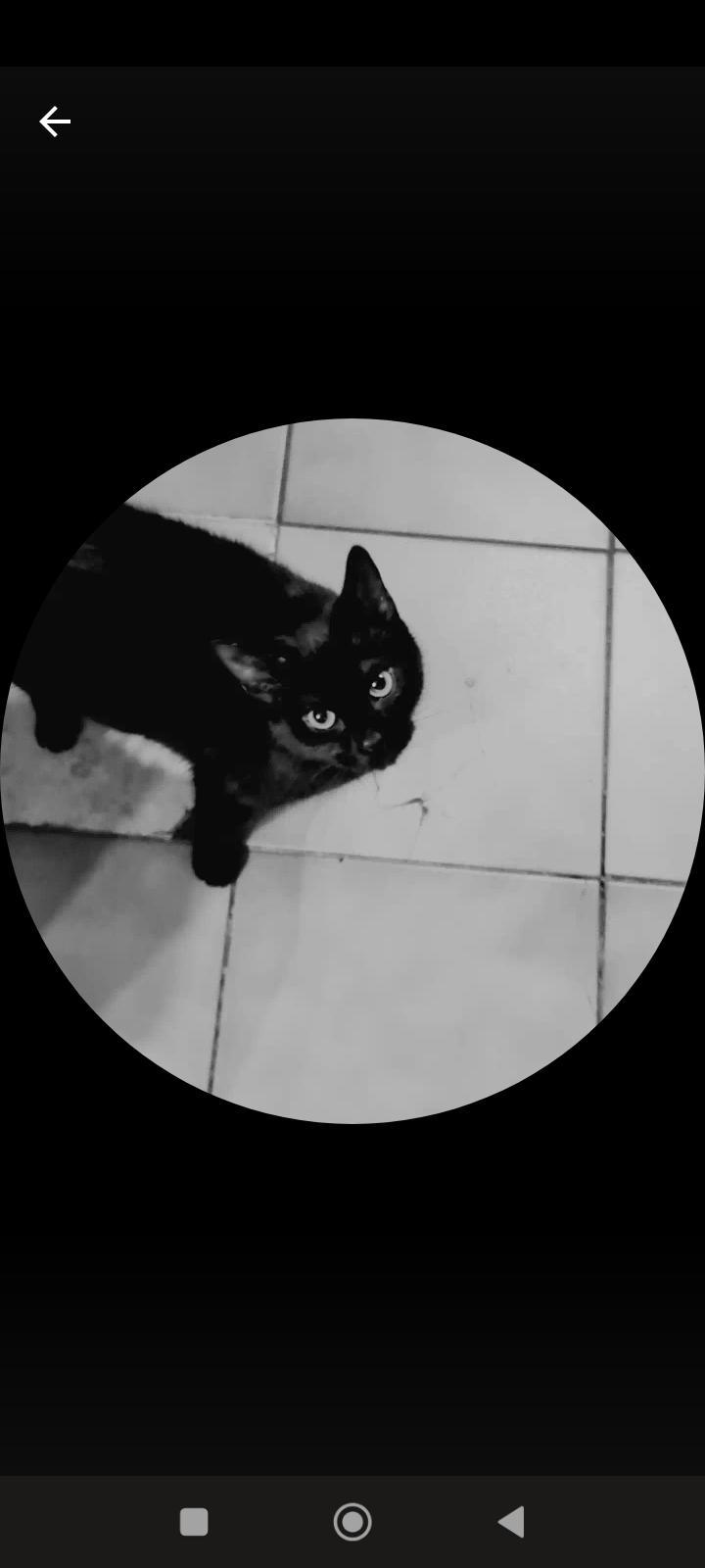 user avatar