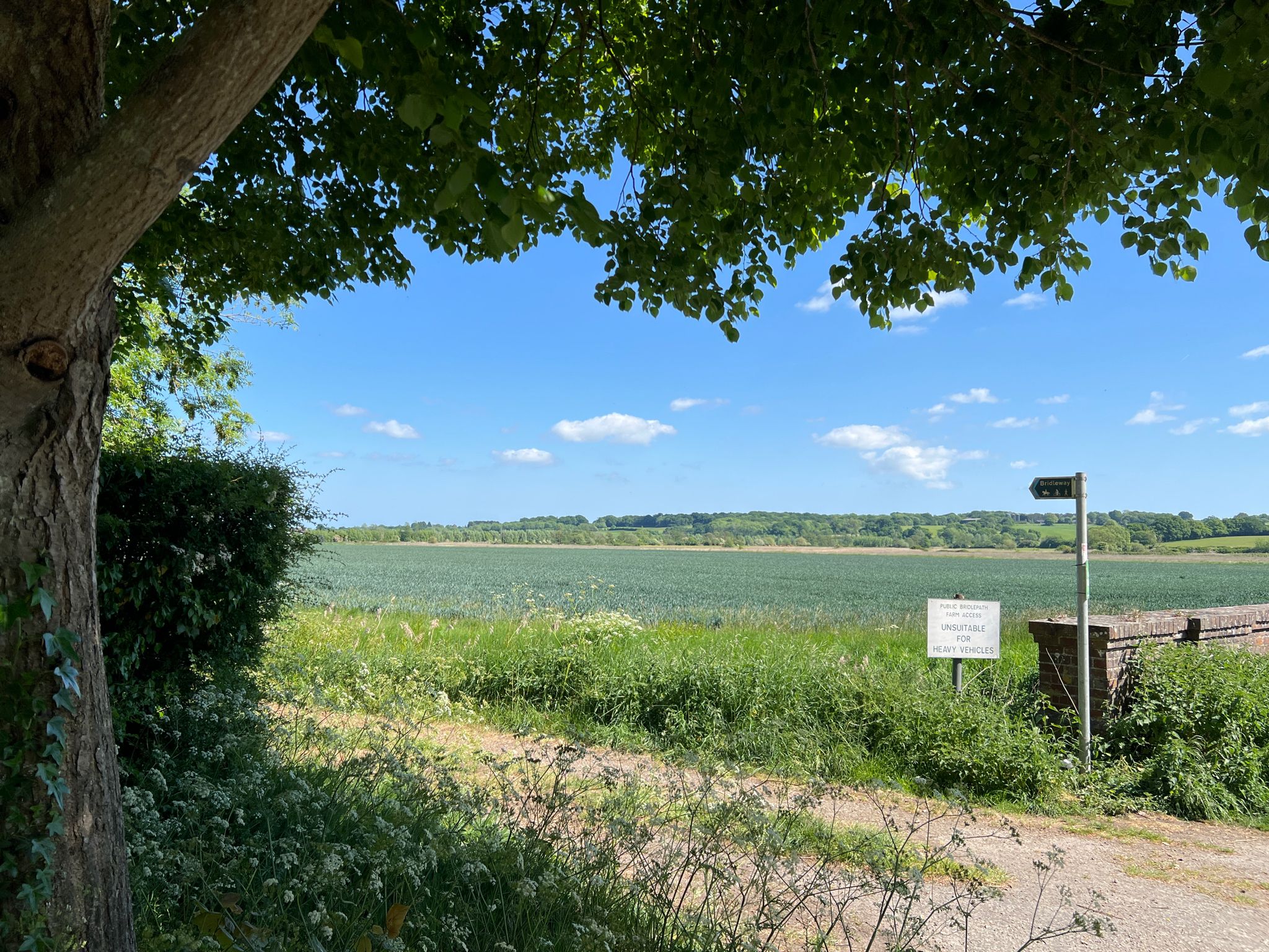 Blick in die Umgebung