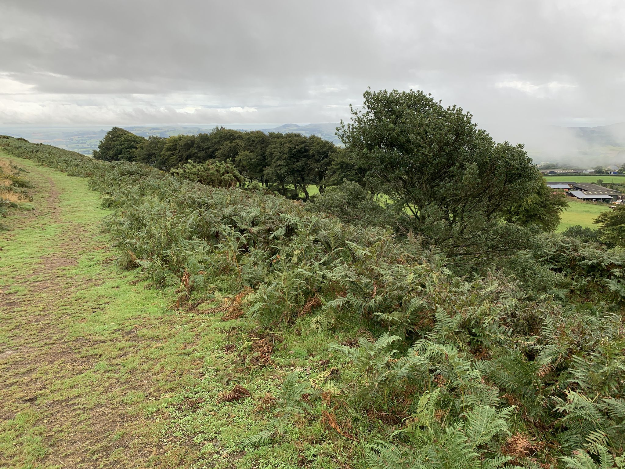Around pilsdon pen
