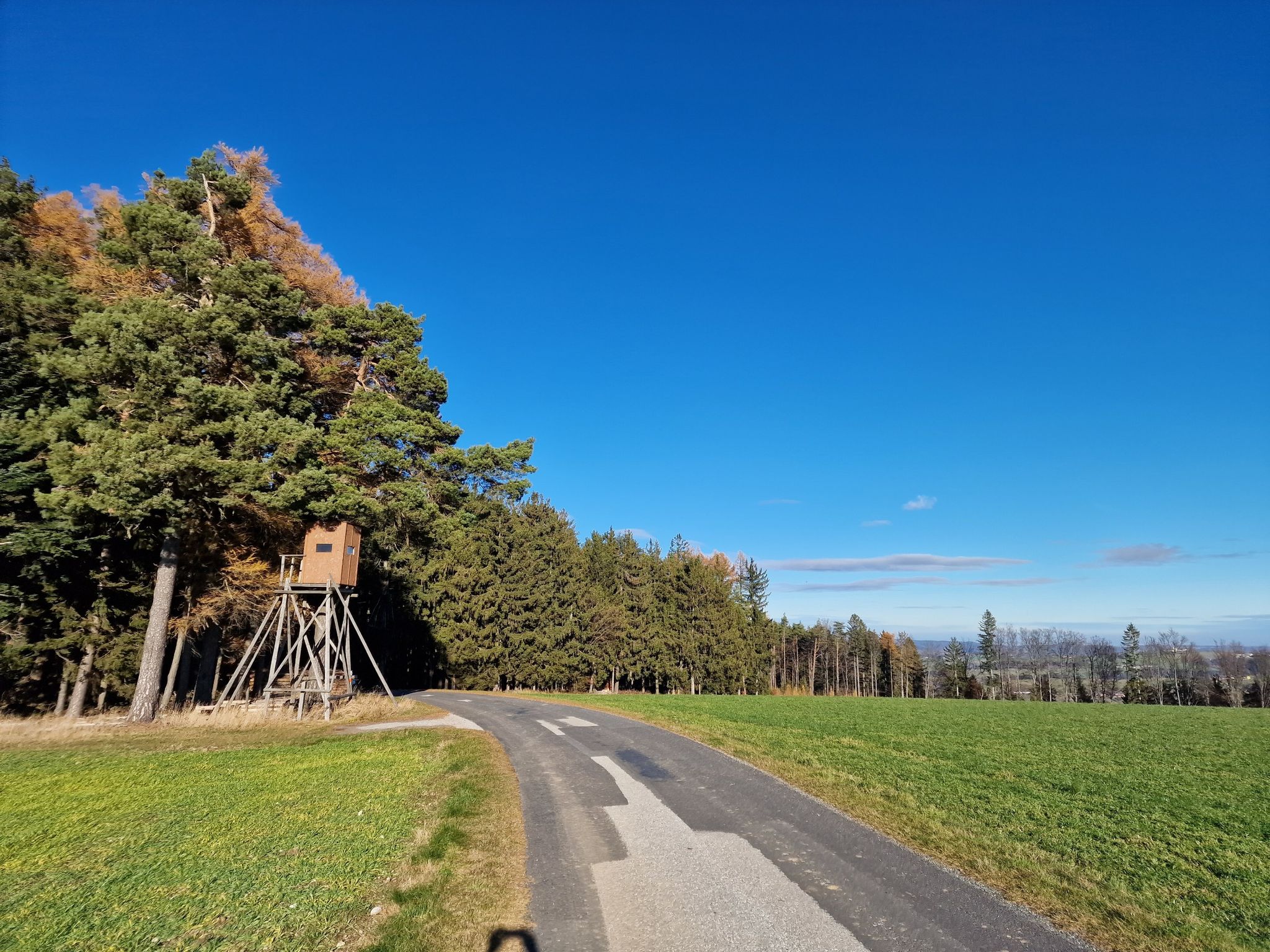 Bei Pesendorf geht’s wieder abwärts Richtung Michelbach