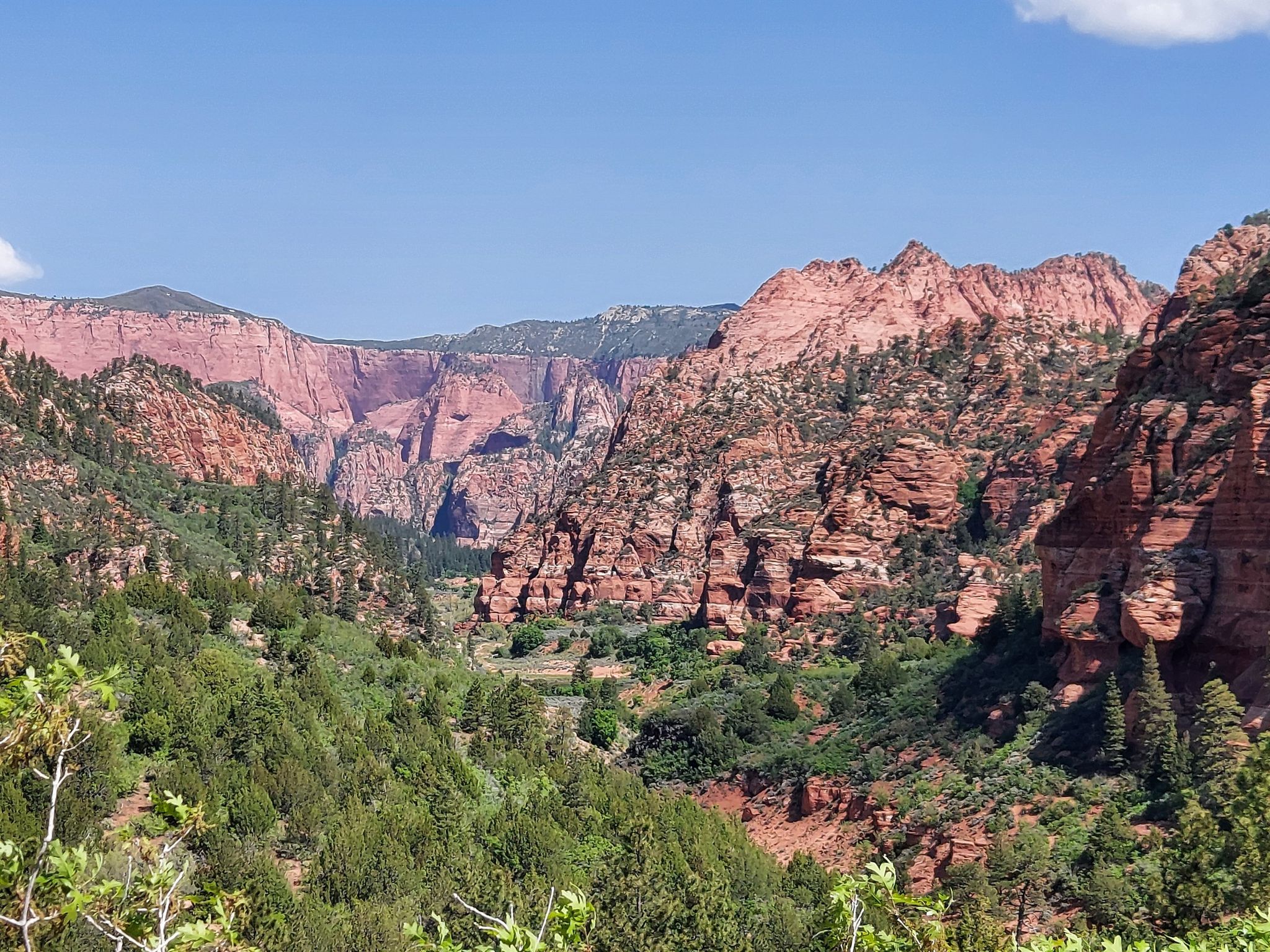 Sunny canyon view with layered red rock cliffs and green trees. - Hop Valley Trail