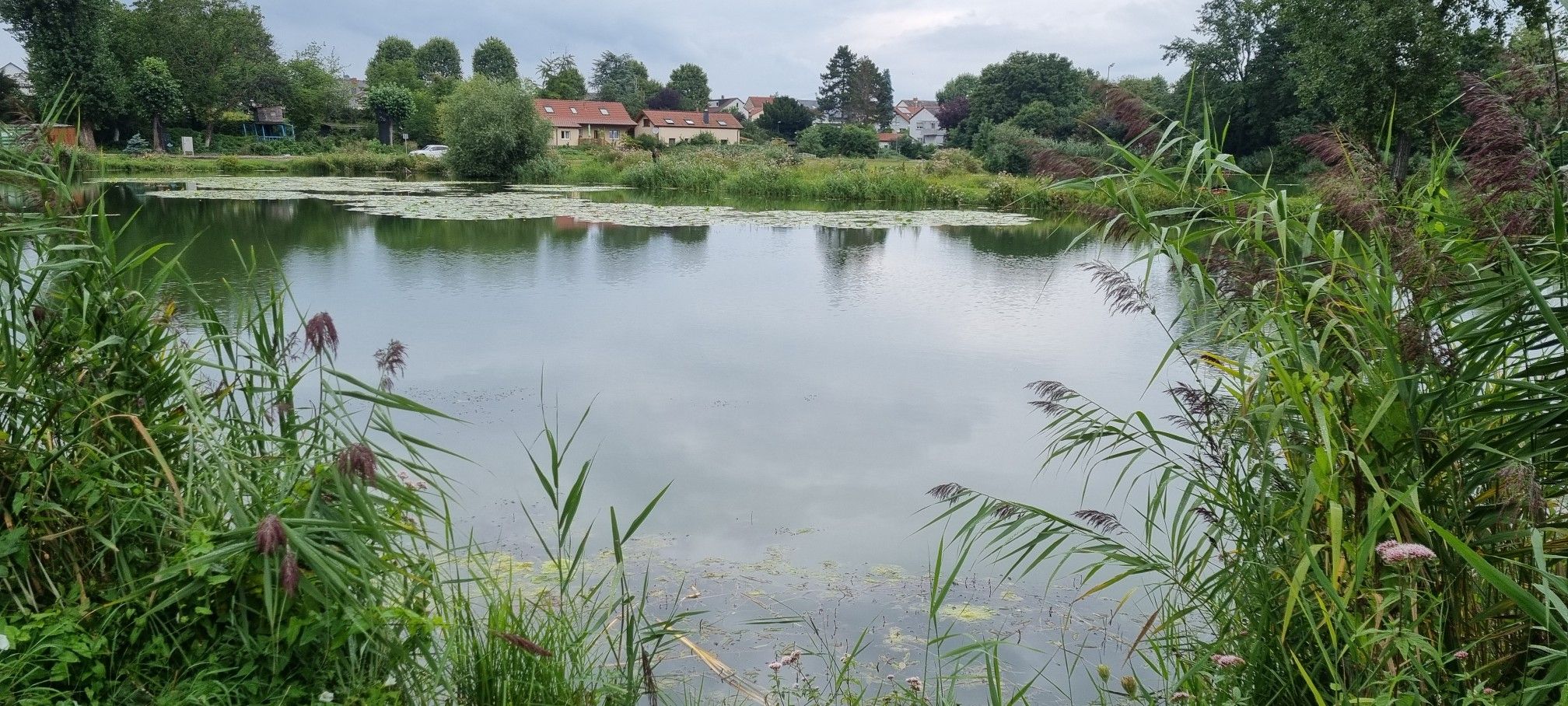 Backsteinweiher