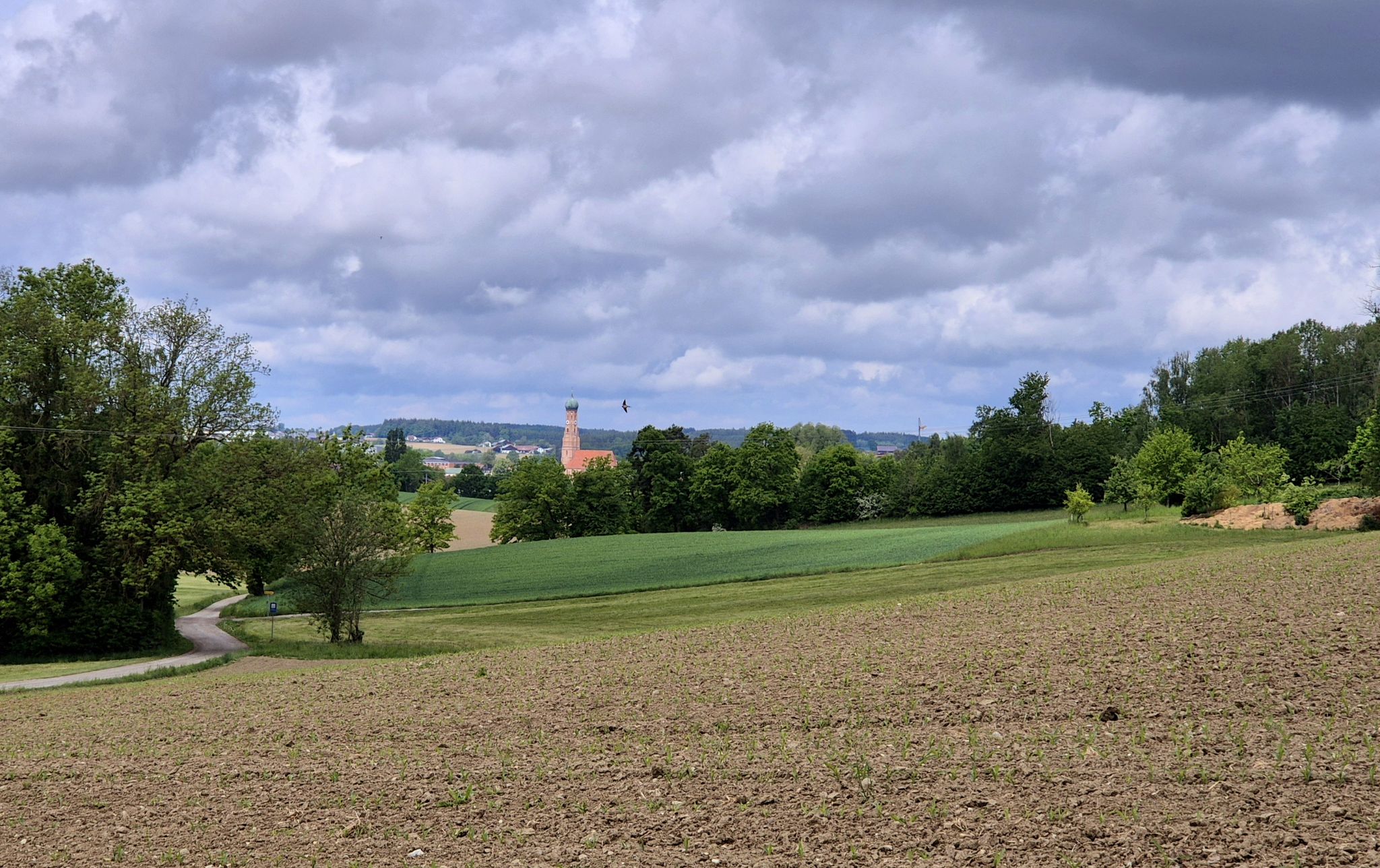Pfarrkirche in Vilsbiburg