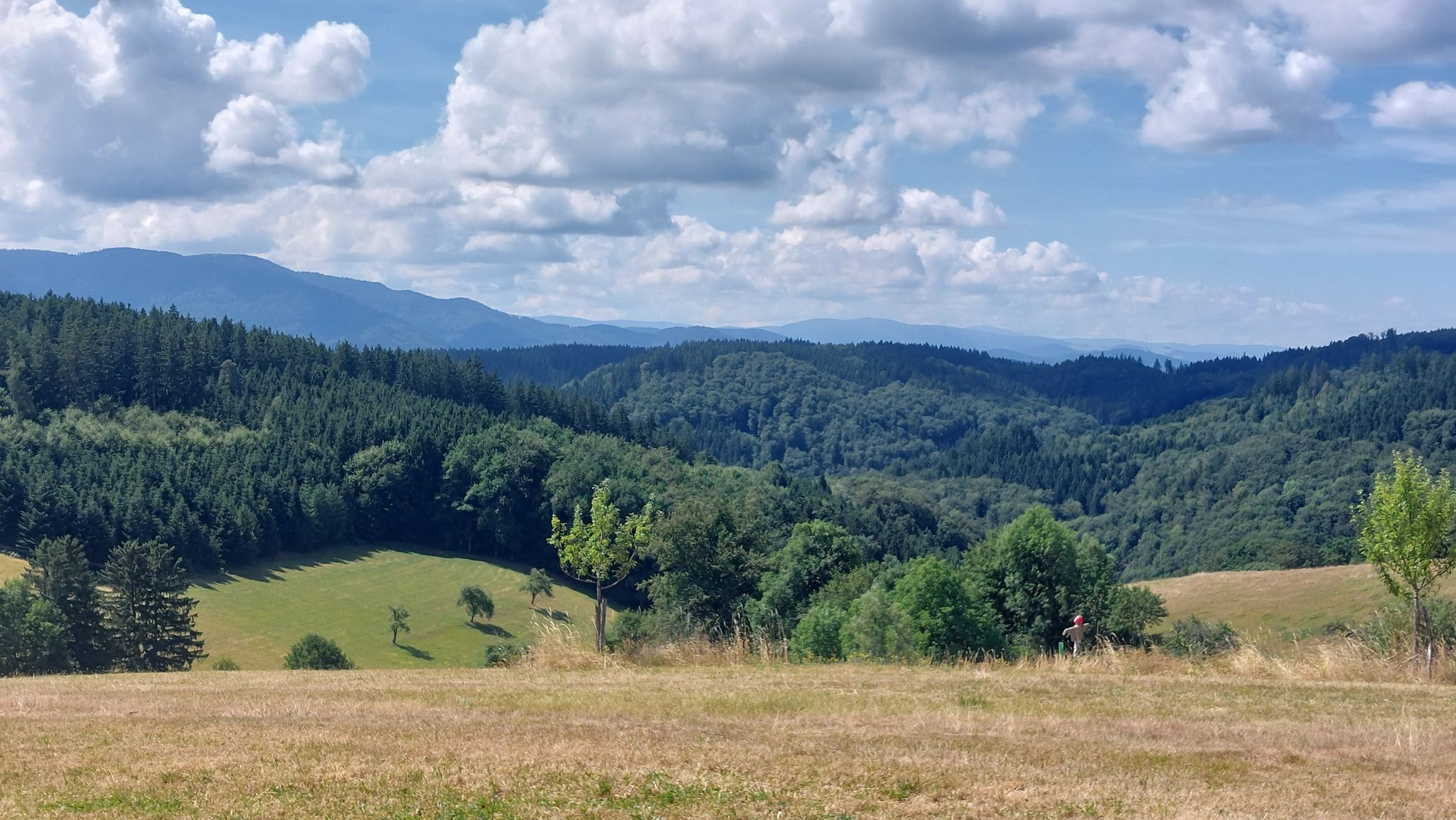 Blick vom Kandel über Schauinsland - Belchen bis zum Blauen (kaum sichtbar!)