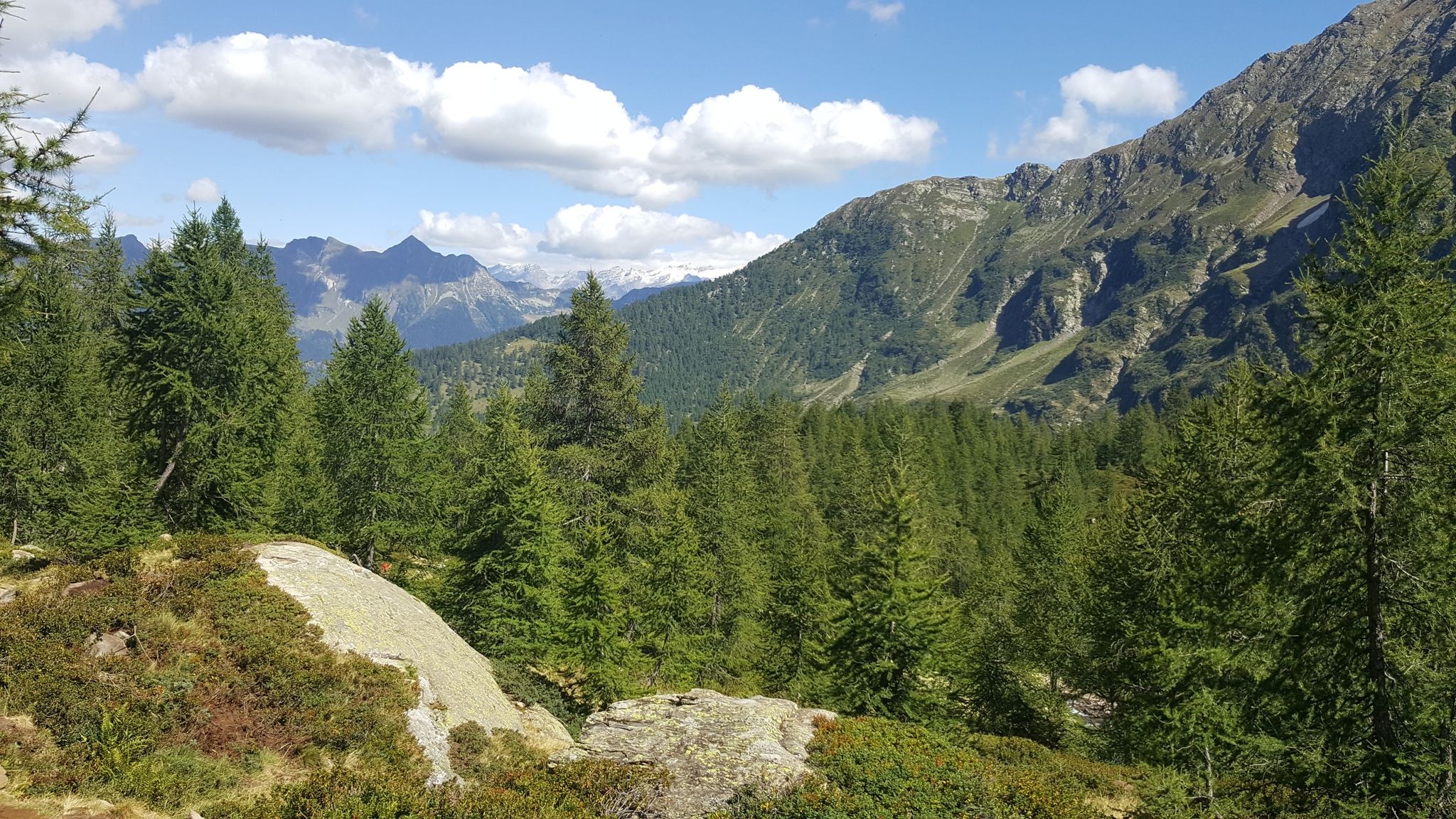 Weitblick Leventina ab Baumgrenze
