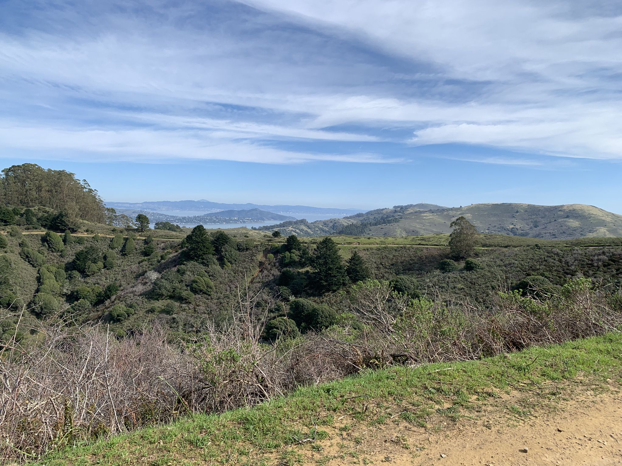 Green hills and distant water under a bright, partly cloudy sky. - Tennessee Valley/Muir Beach loop