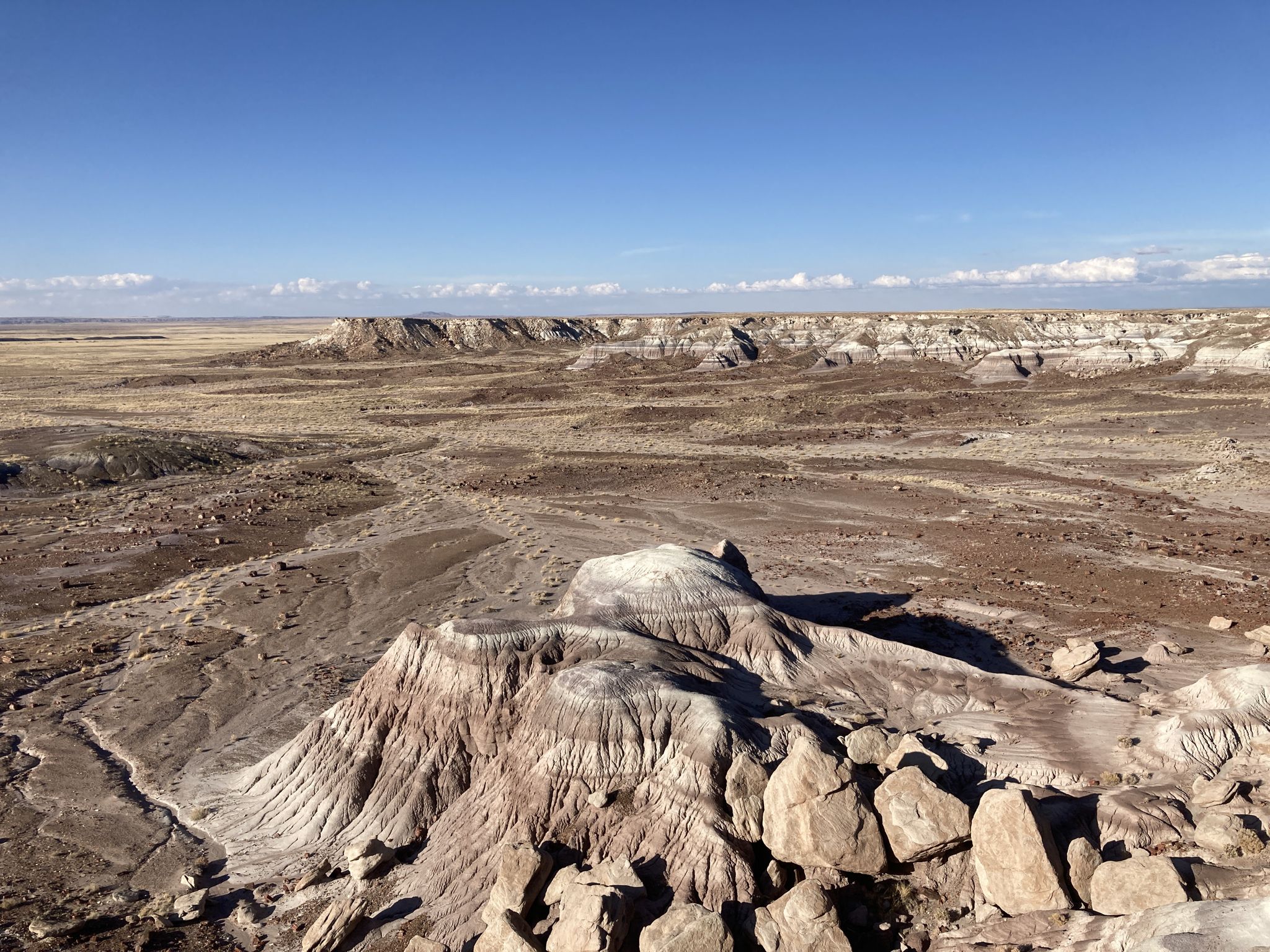 Vast arid landscape with eroded hills and distant mesas under a clear blue sky. - Jasper Forest Trail