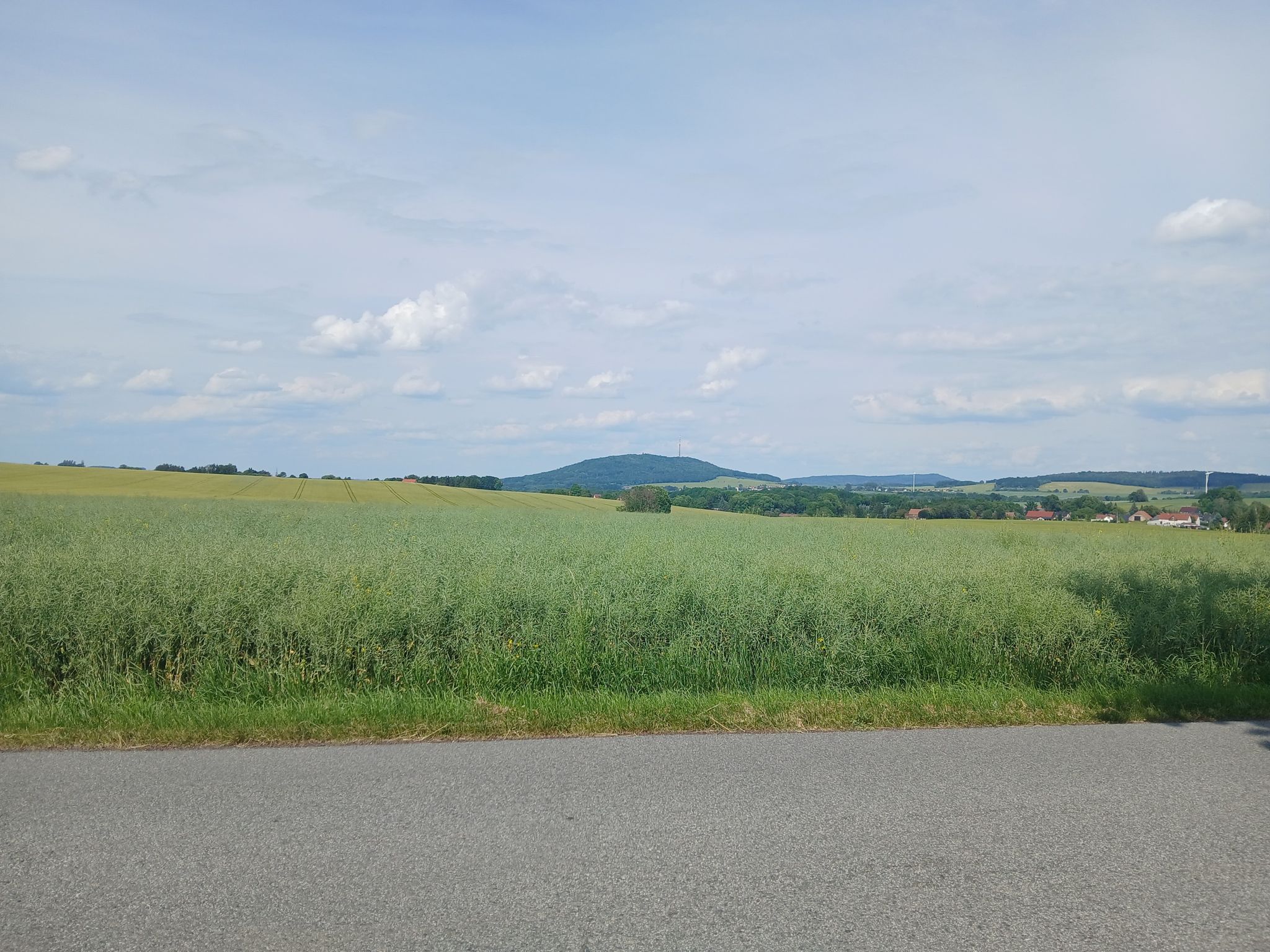 löbauerberg von der anderen seite