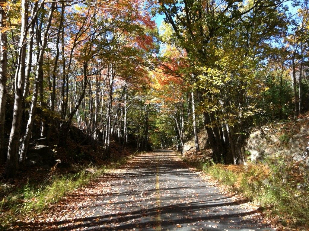 Autumn road through a forest with colorful leaves and dappled sunlight. - Duck Brook Trail