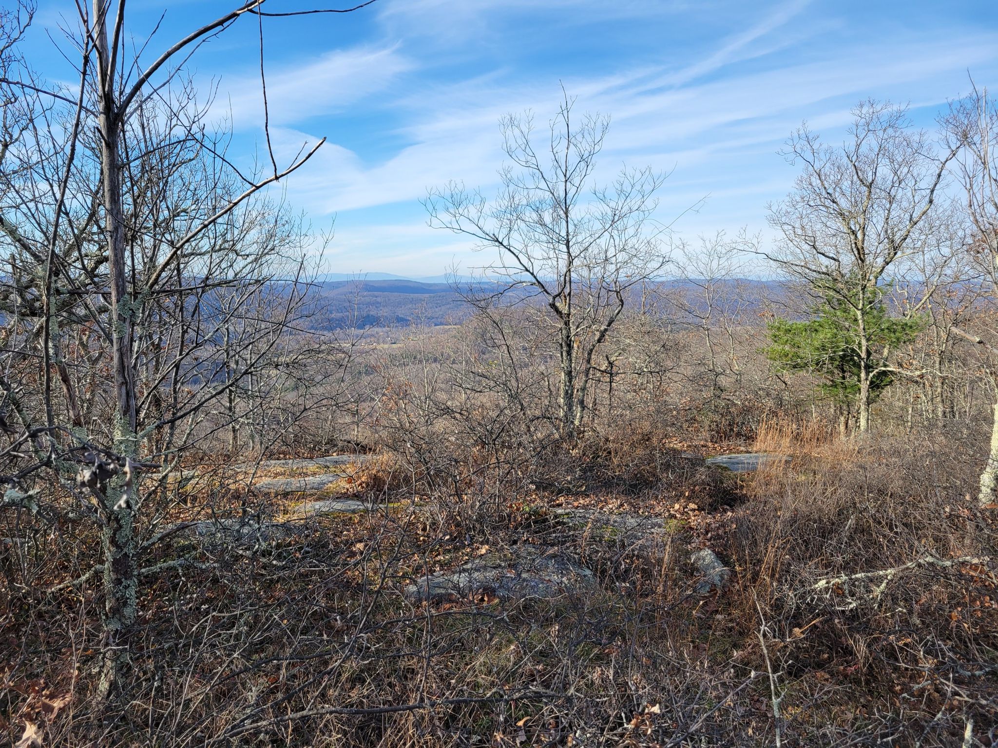 Bare trees frame a distant mountain view under a clear blue sky. - Cobble Mountain Cliff Face – Cobble Mountain Summit View loop from Macedonia Brook State Park
