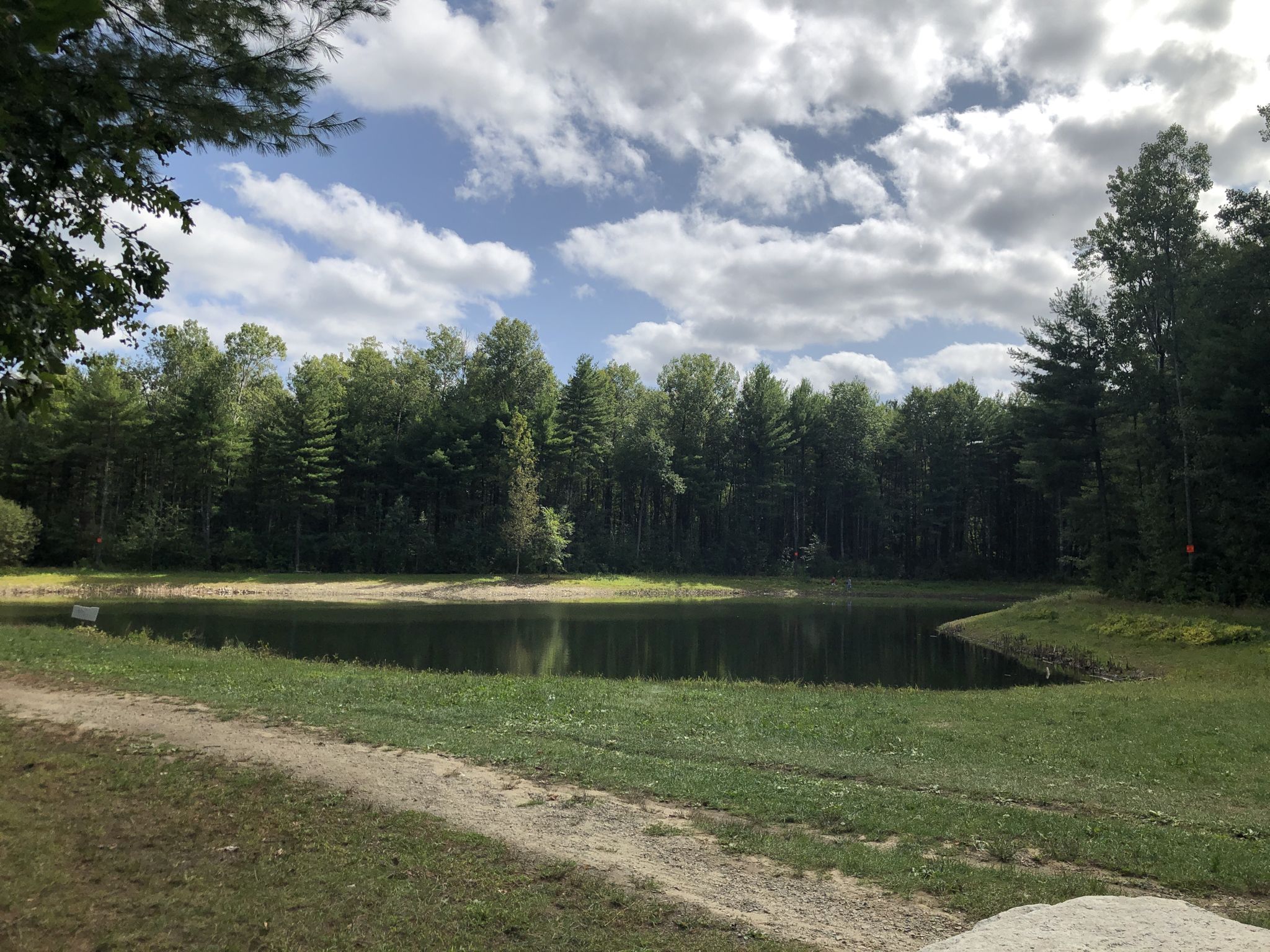 Dark pond surrounded by dense green forest and a grassy bank under cloudy sky. - Nashua River Trailhead – Yudicky Farm Trail System loop from Terrell Homestead Conservation Area