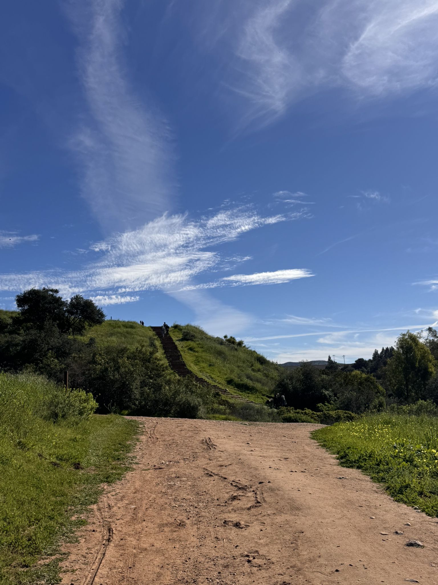 A dirt path leads to a steep green hill with stairs under a bright sky. - Santiago Creek, Grasshopper and Oak Trail Loop