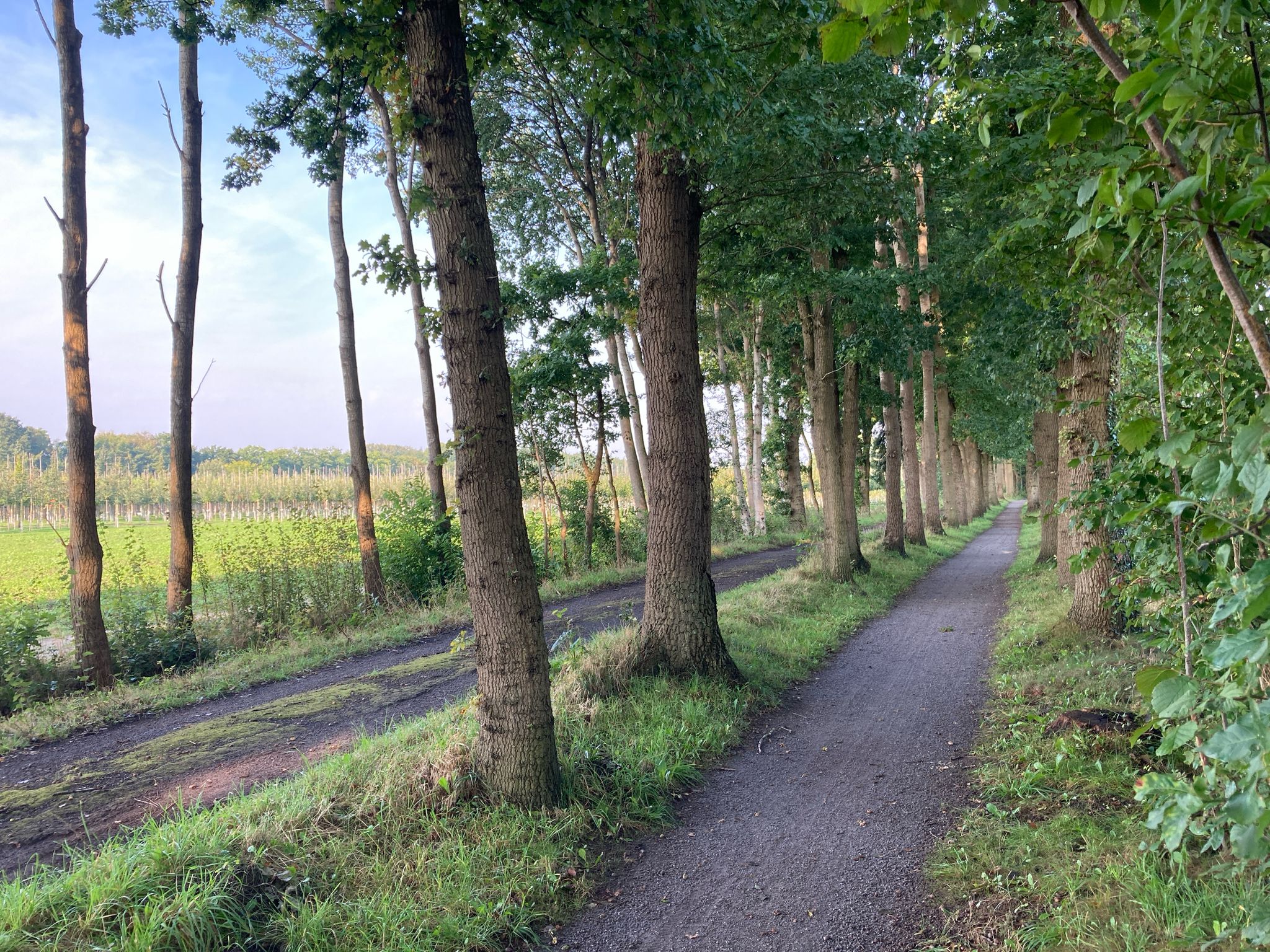 Raus aus Westerstede auf dem fahrradidyllischen Gießelhorster Kirchweg