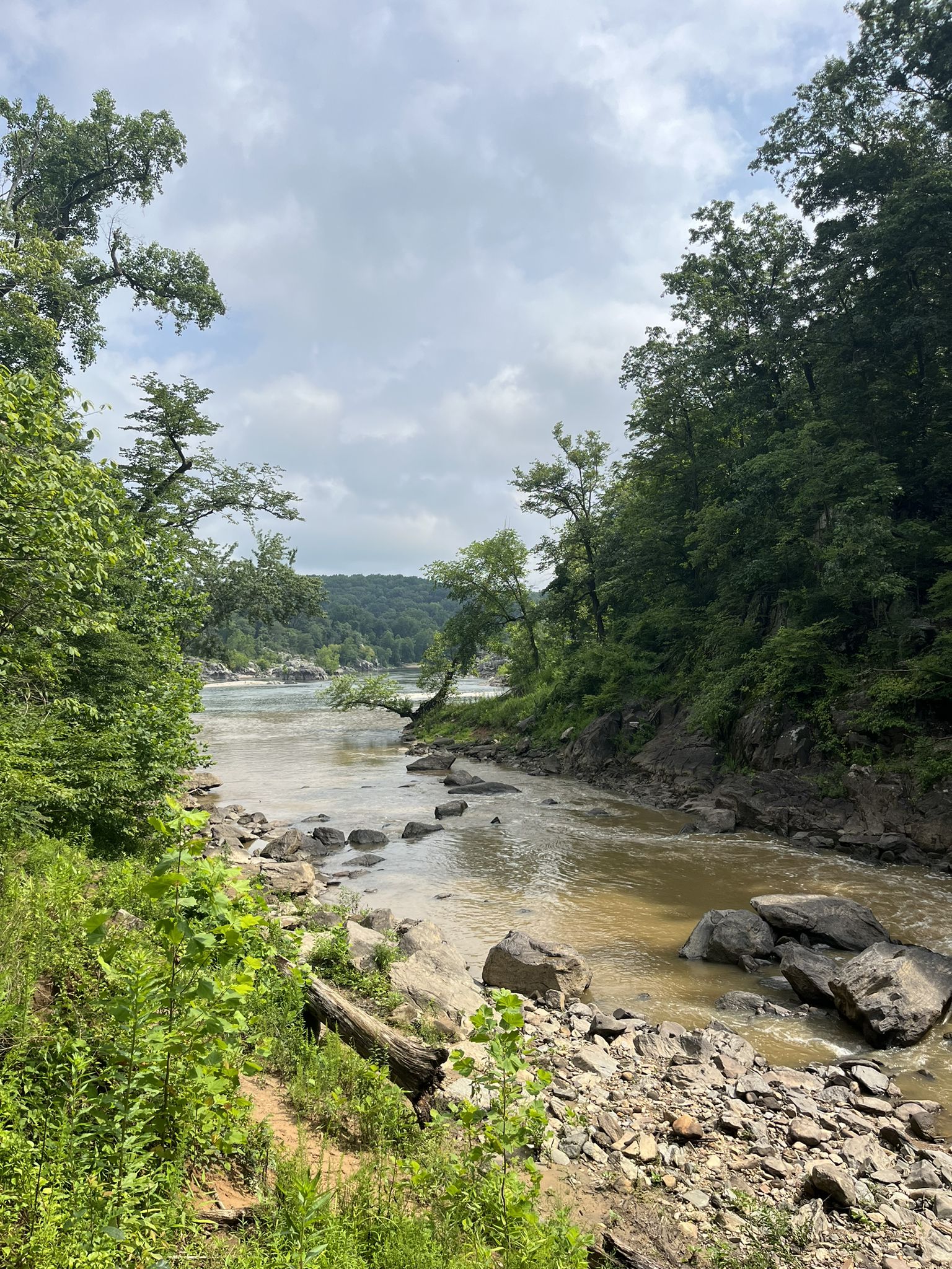 River with rocky banks surrounded by dense green forest under an overcast sky. - Difficult Run, Ridge and River Trail Loop