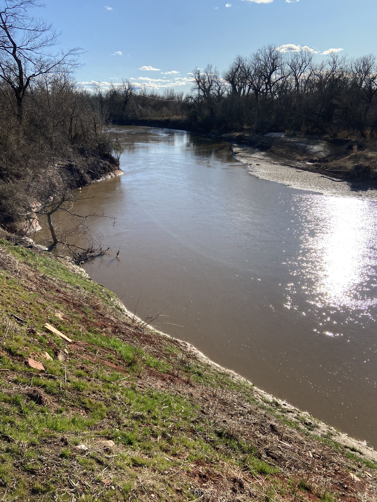 Wide muddy river with sun glare, flanked by bare trees and grassy banks. - East Trail