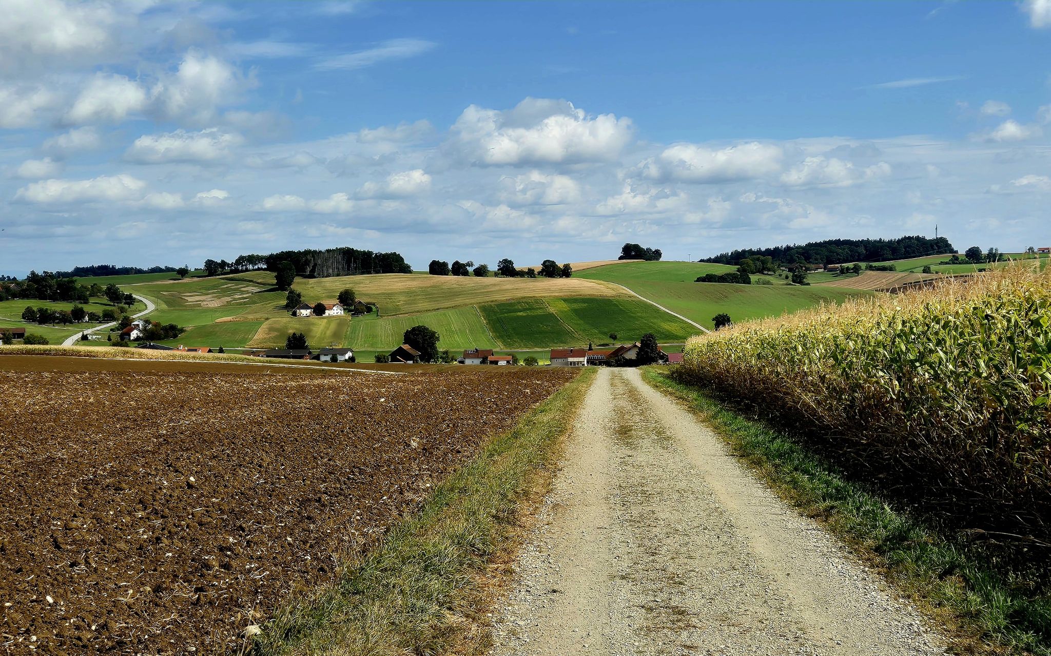 Zuerst gehen wir runter und dann wieder auf dem Weg in der rechten Hälfte hinauf