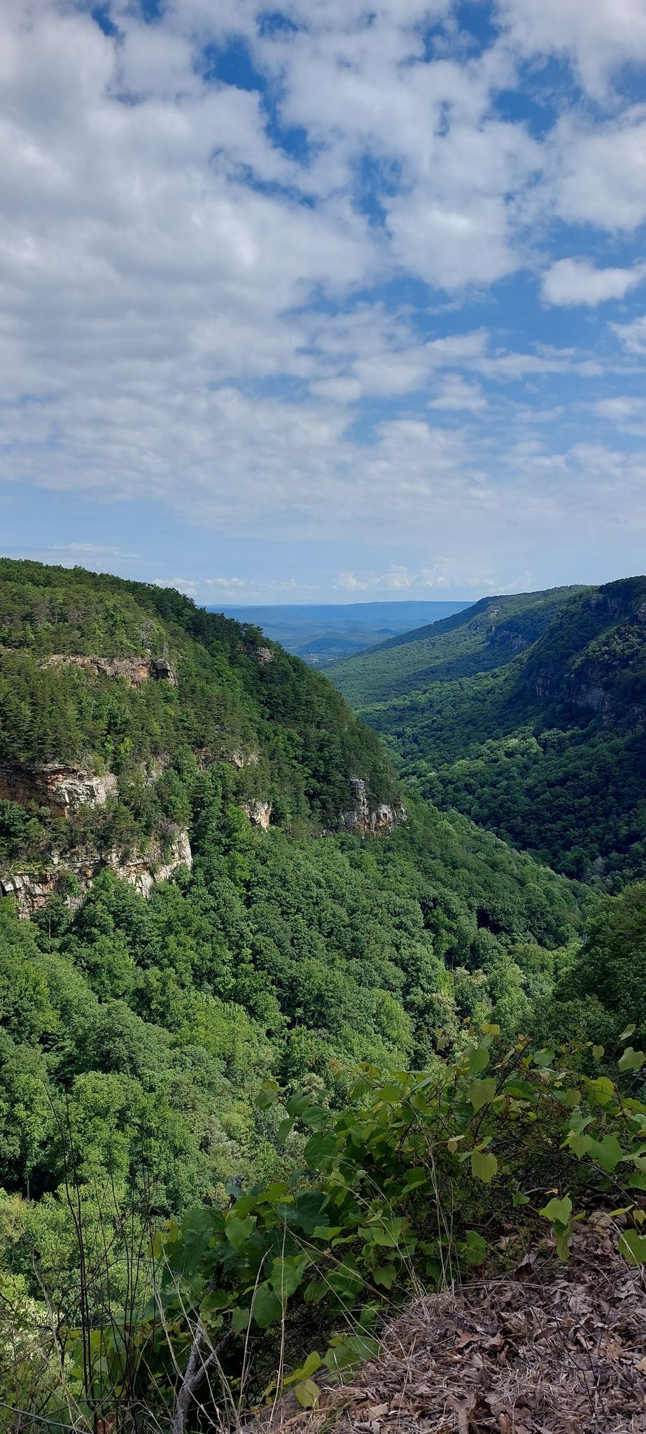 Panoramic view of a lush green valley and distant mountains under a blue sky. - Waterfalls Trail
