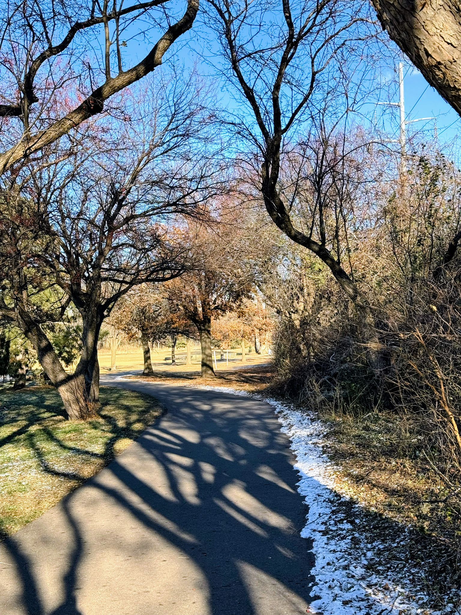 Paved path winding through bare trees, casting long shadows, with patches of snow. - Bassett Creek Lagoons – Bryn Mawr Meadows Park loop from Harrison