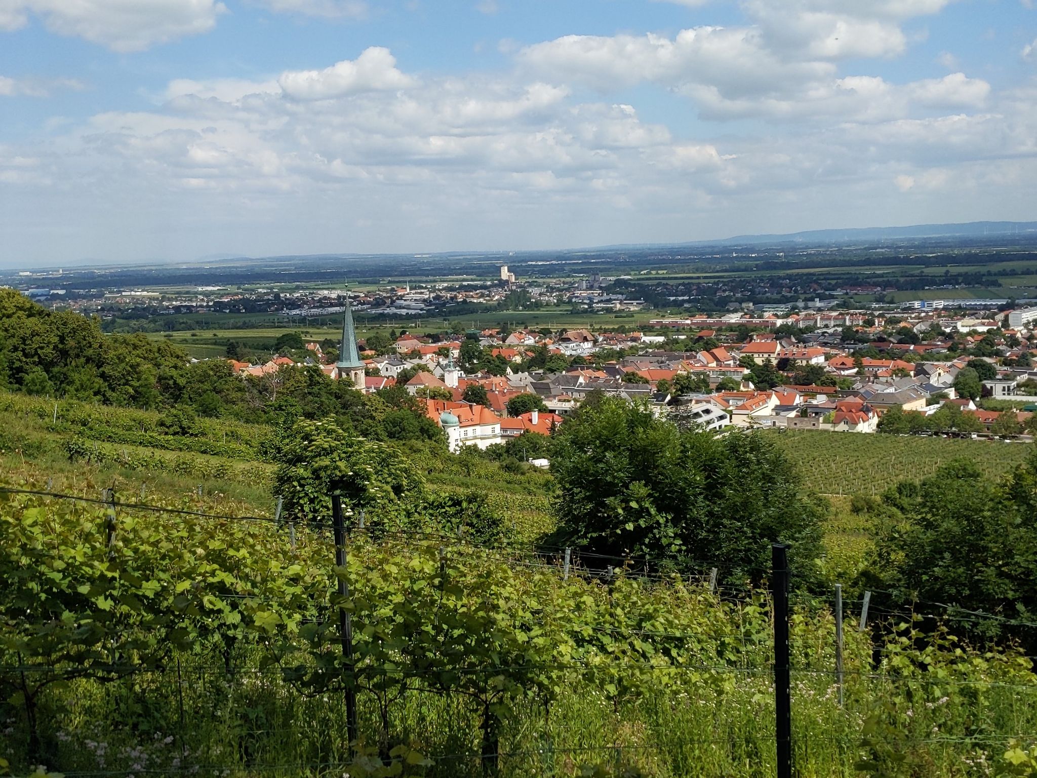 Gumpoldskirchen und Guntramsdorf