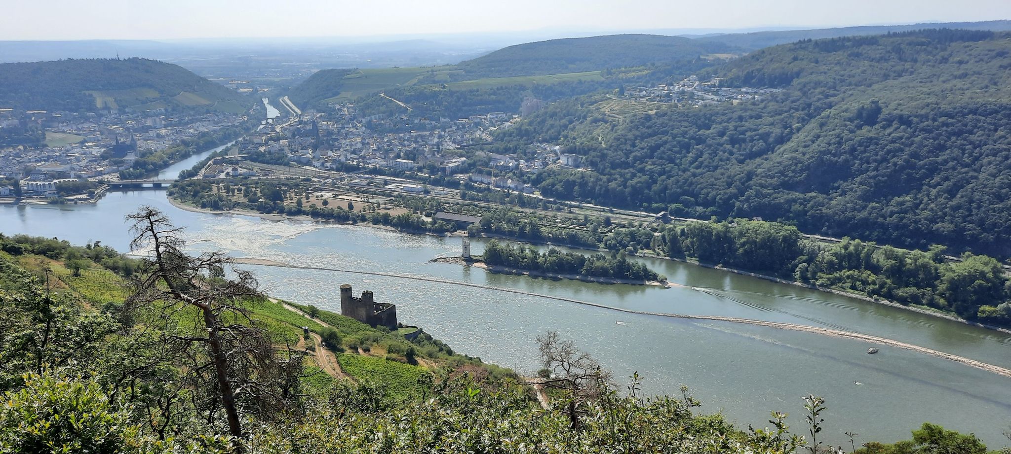 Bingen mit der Nahe-Mündung