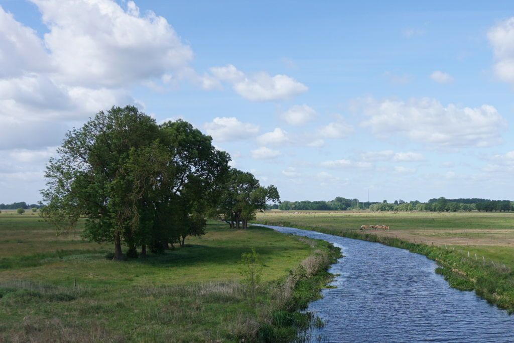 bei Weisen