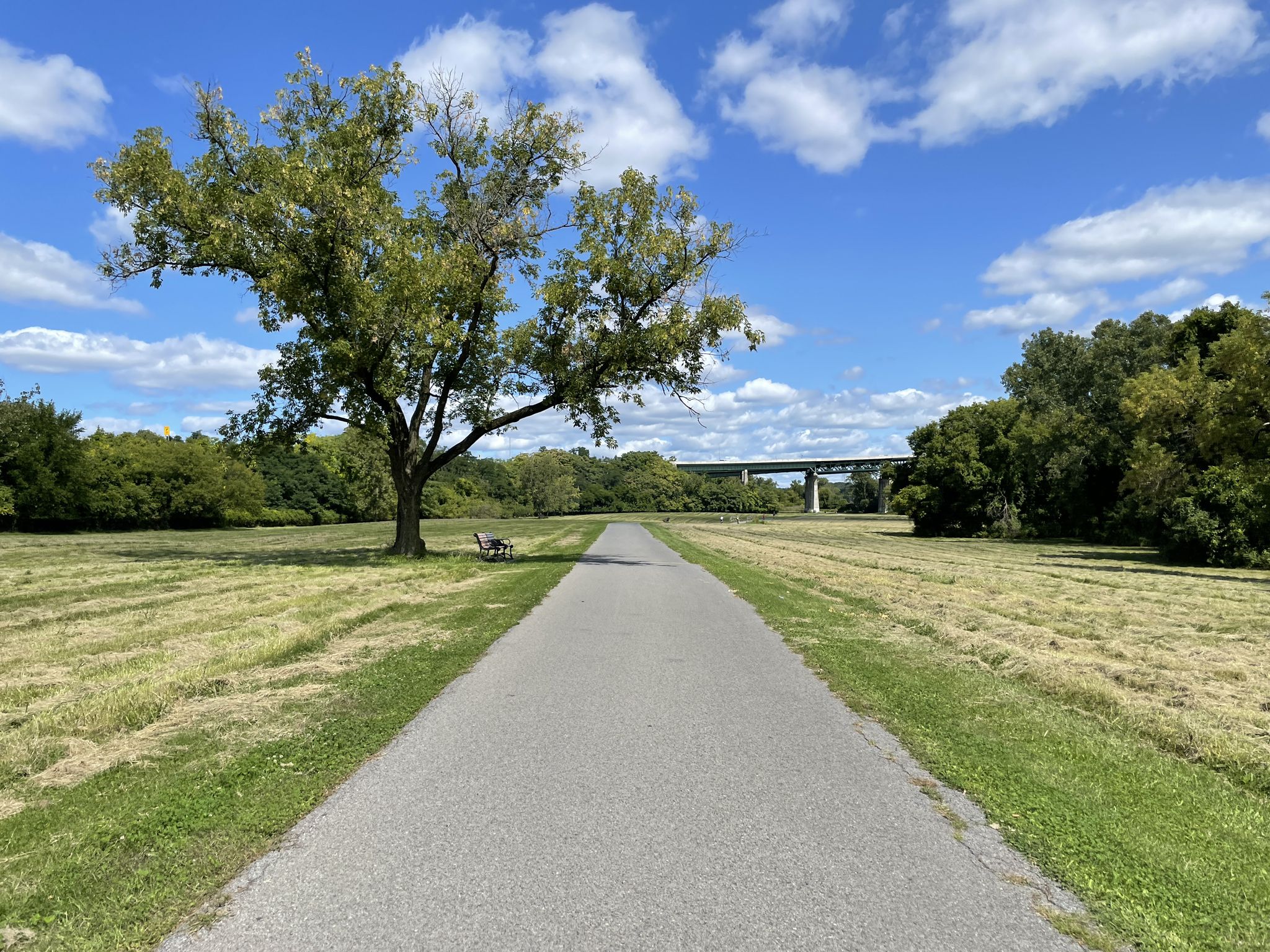 Paved path through a grassy field, distant bridge, bright day. - Mohawk-Hudson Bike-Hike Trail
