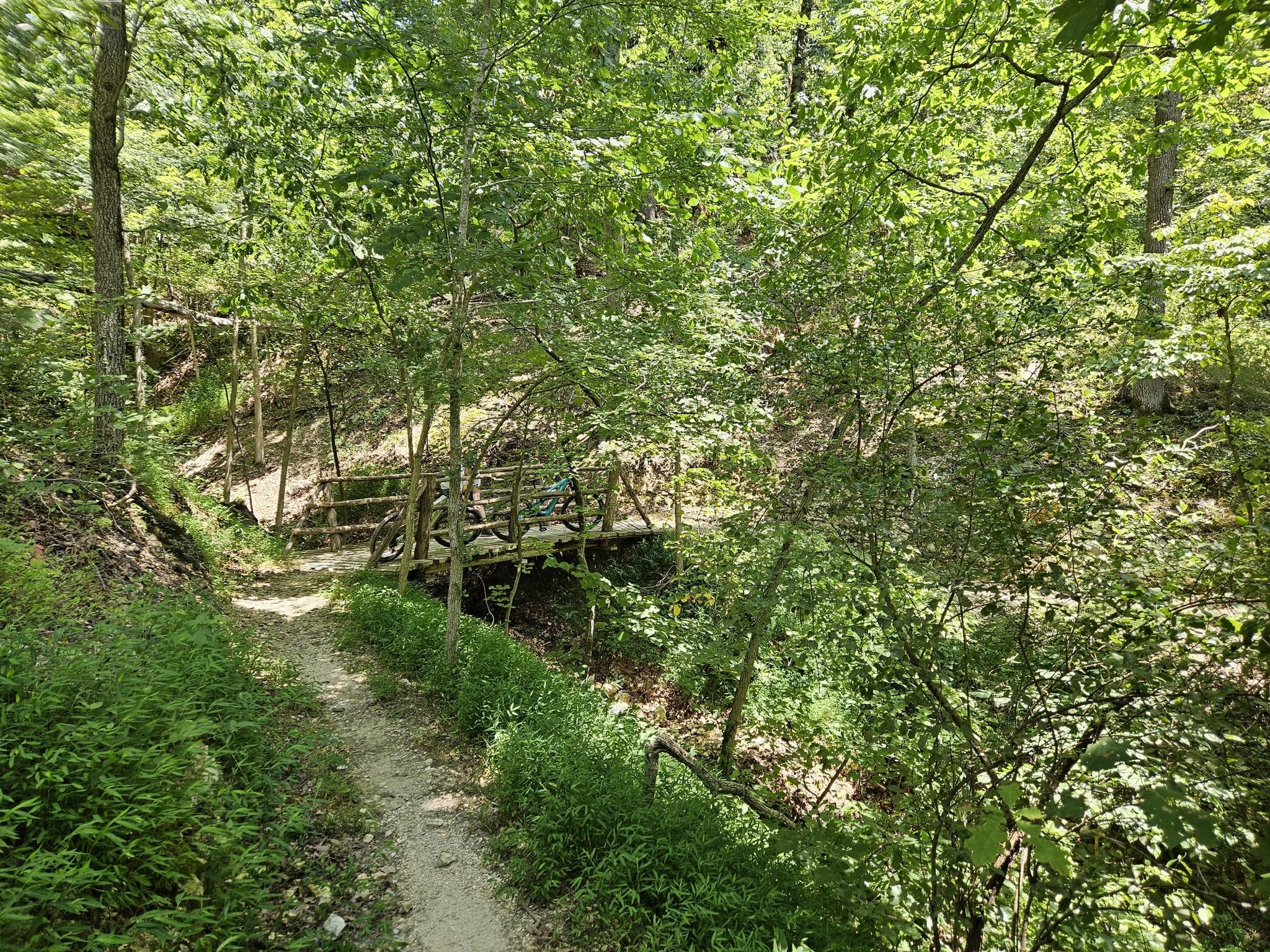 A wooden bridge over a creek, surrounded by dense green foliage. - Sugar Bridge Trail