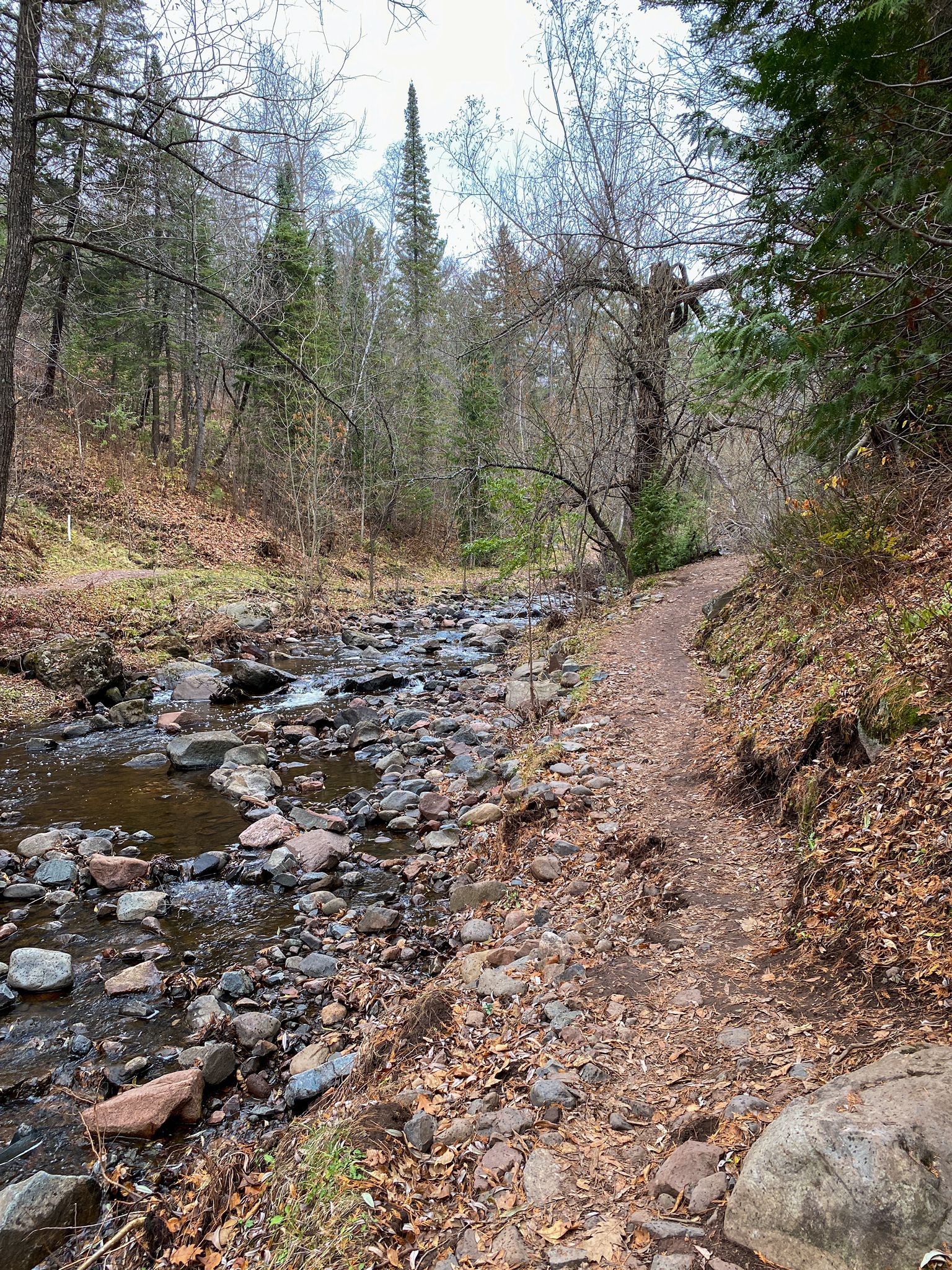 A rocky stream flows beside a dirt path through a sparse forest. - Chester Park Trail Overlook loop from Lakewood