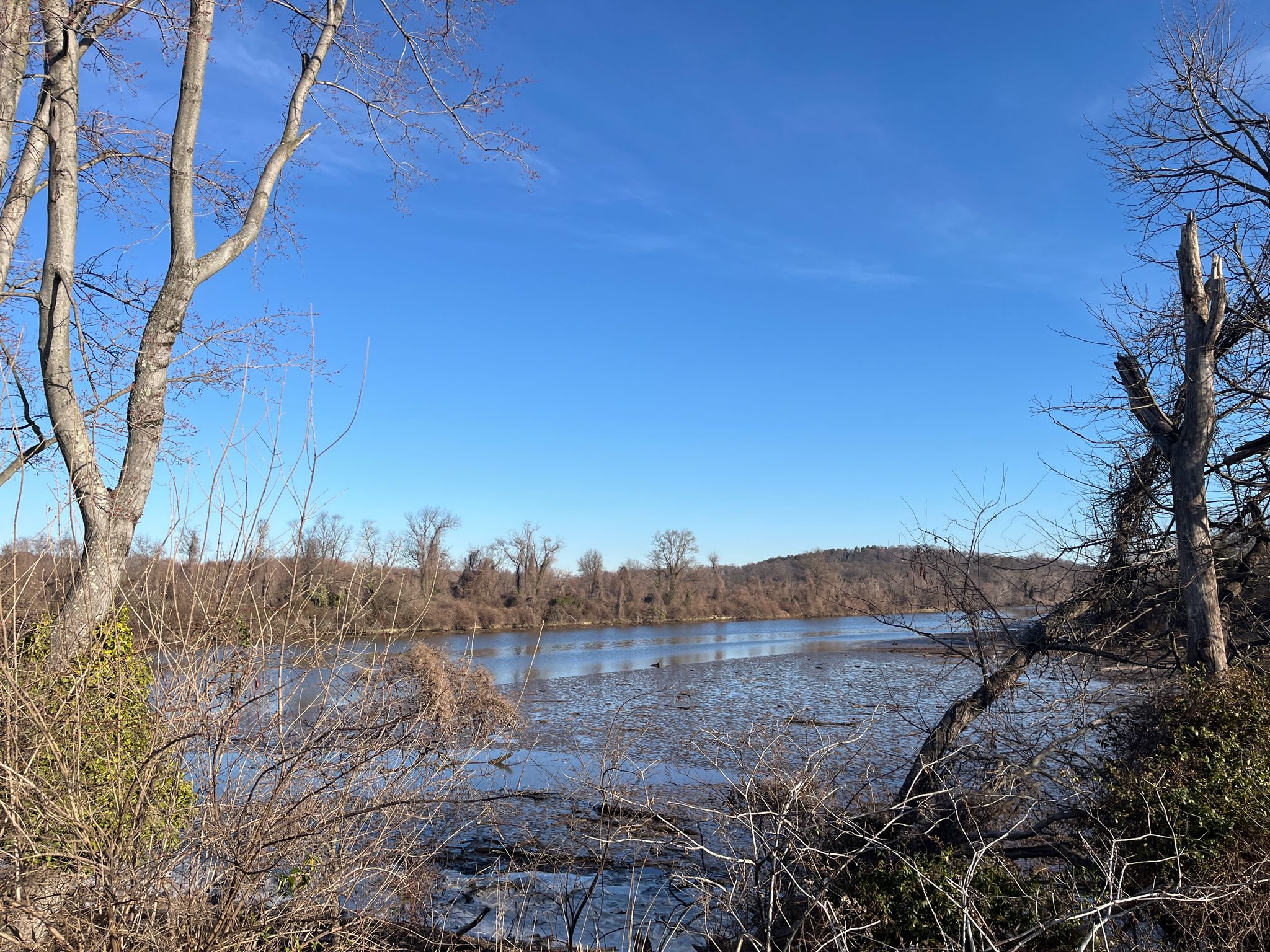 Wide river framed by bare trees and distant hills under a clear blue sky. - Kingman and Heritage Islands – U.S. Capitol loop from Eastern Market