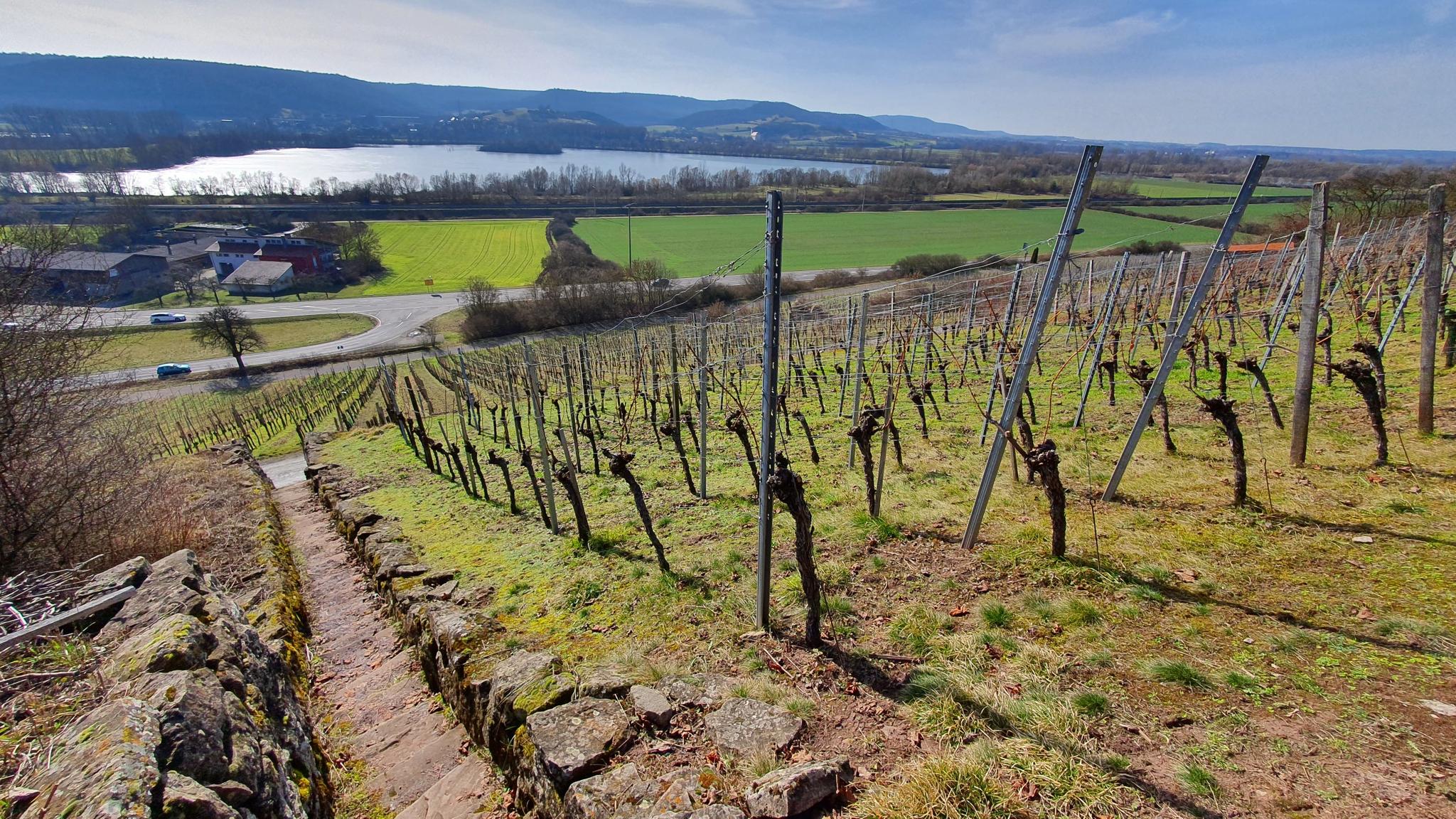 O que descobrir em Großes Fürstenholz