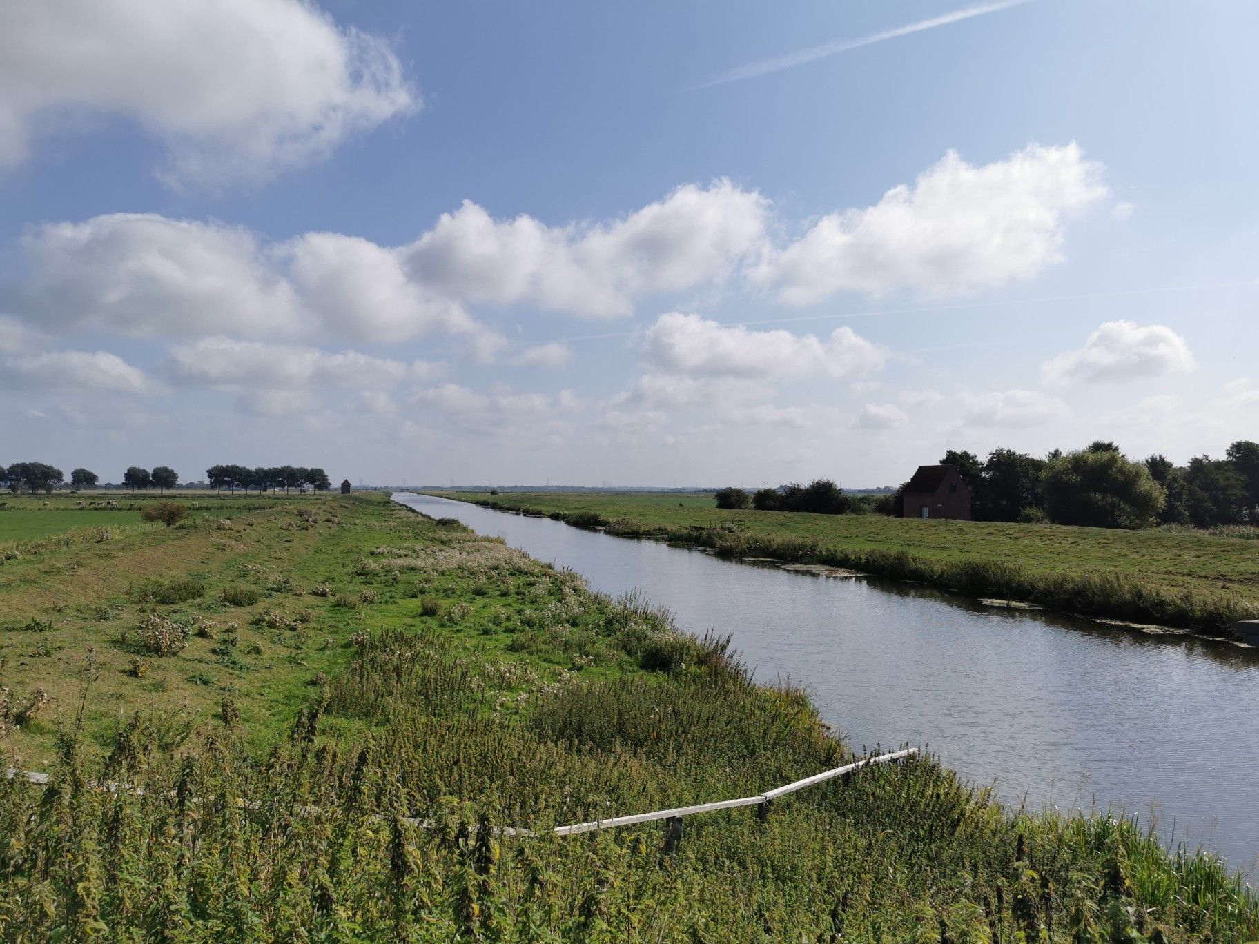 Je weiter ins Landesinnere, desto breiter die Auen - hier Soholmer Au